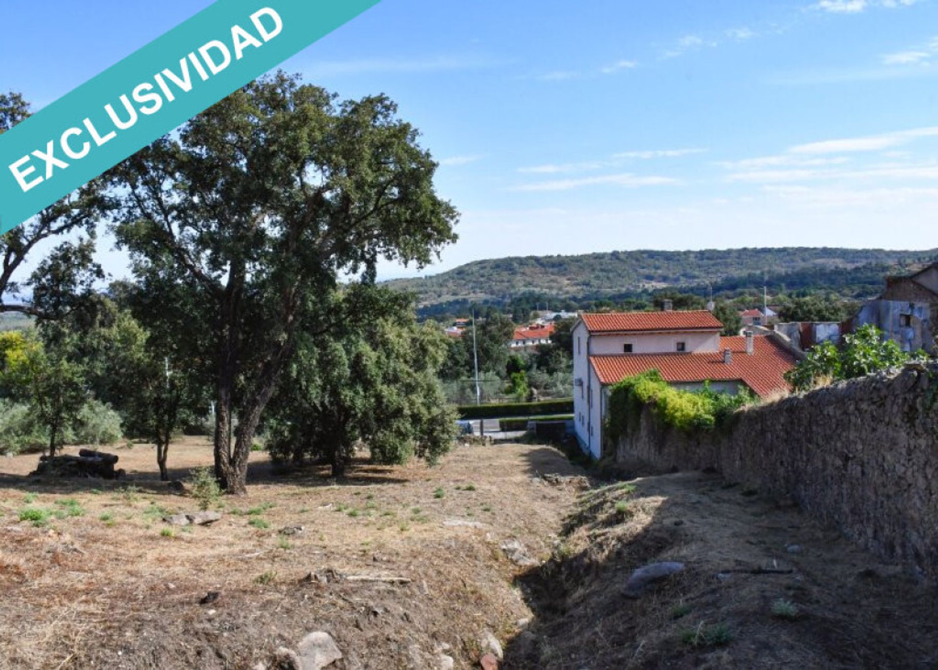 Jord i Hoyos, Extremadura 11514896