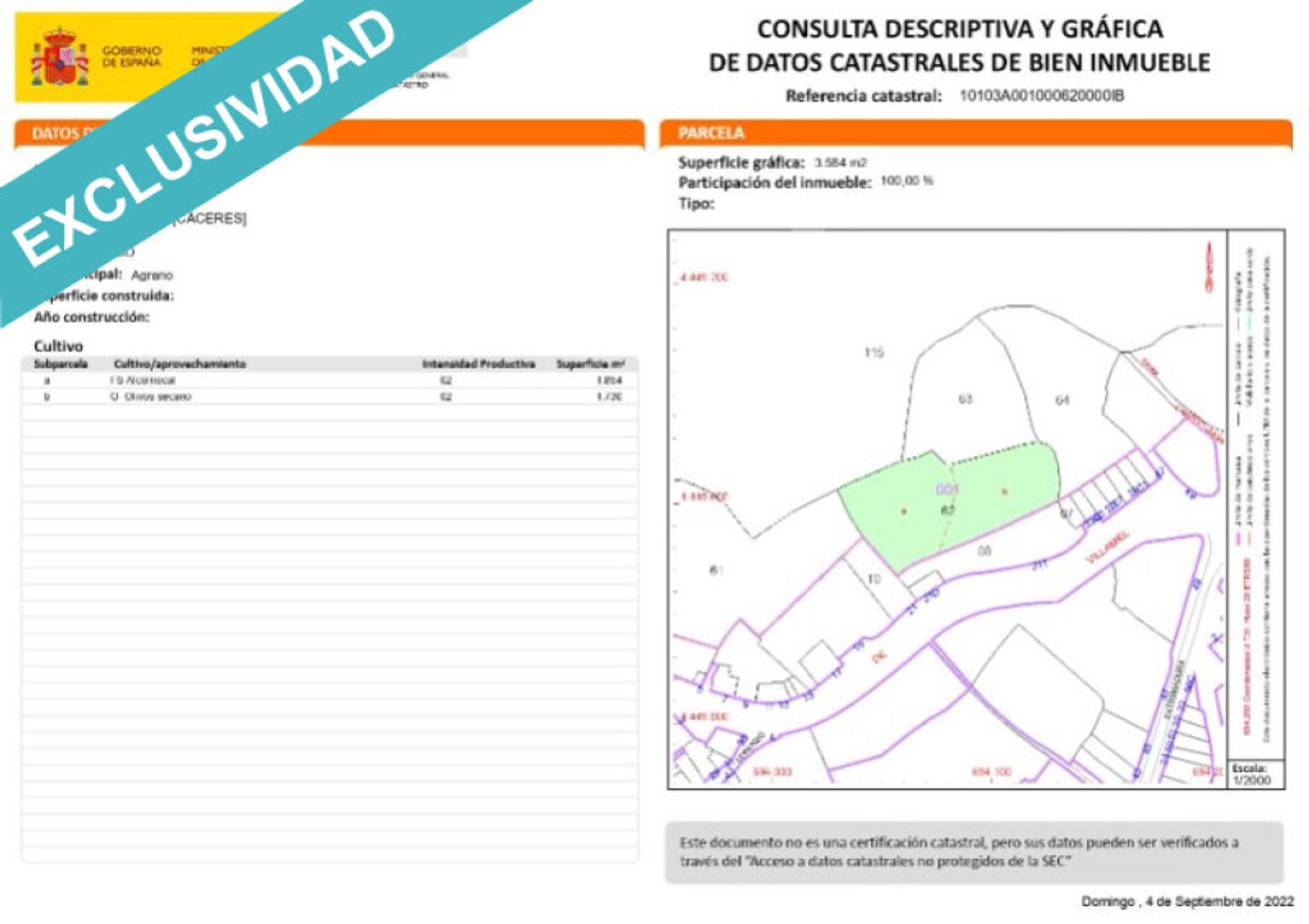 Jord i Hoyos, Extremadura 11514896