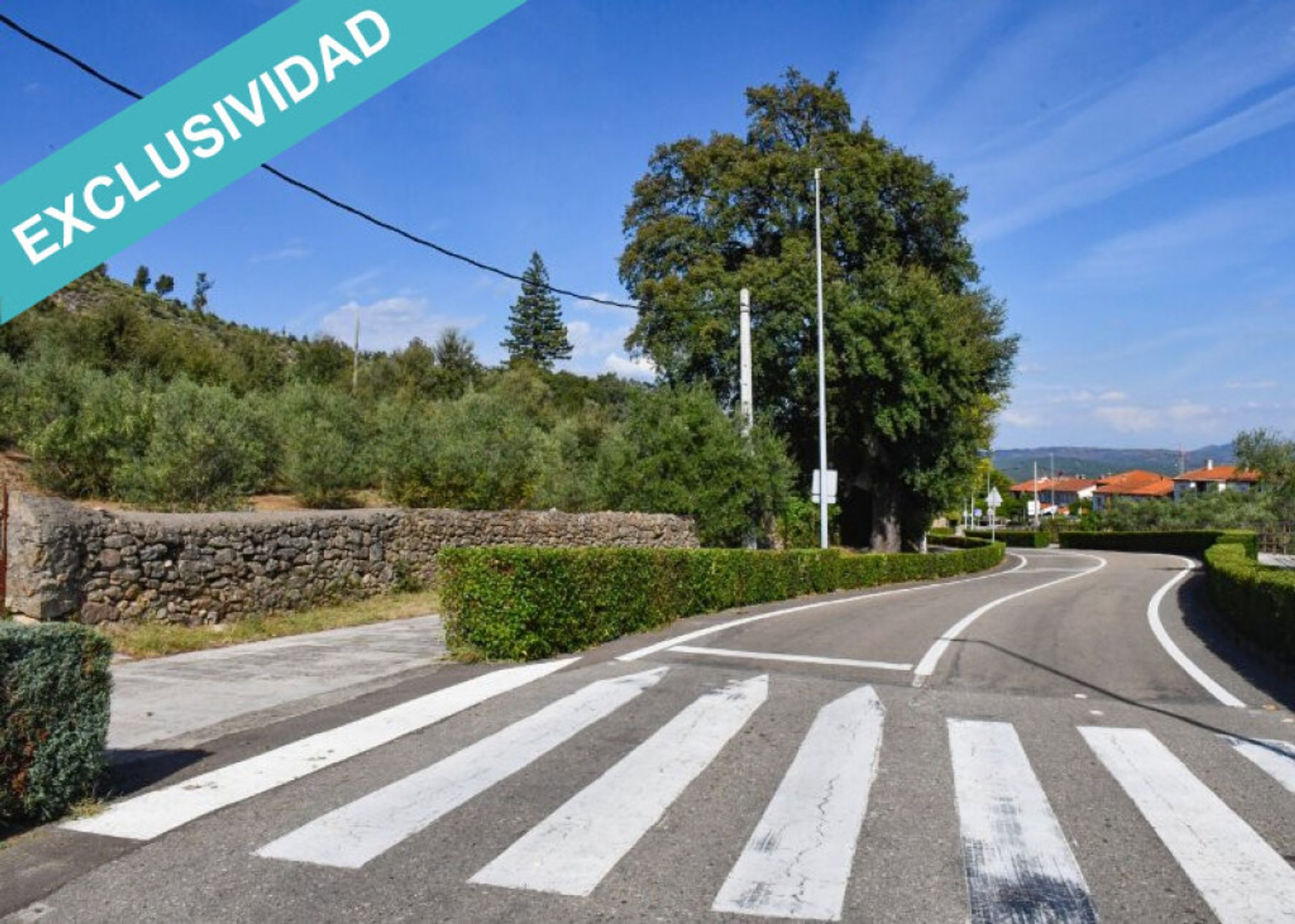 Land in Hoyos, Extremadura 11514896