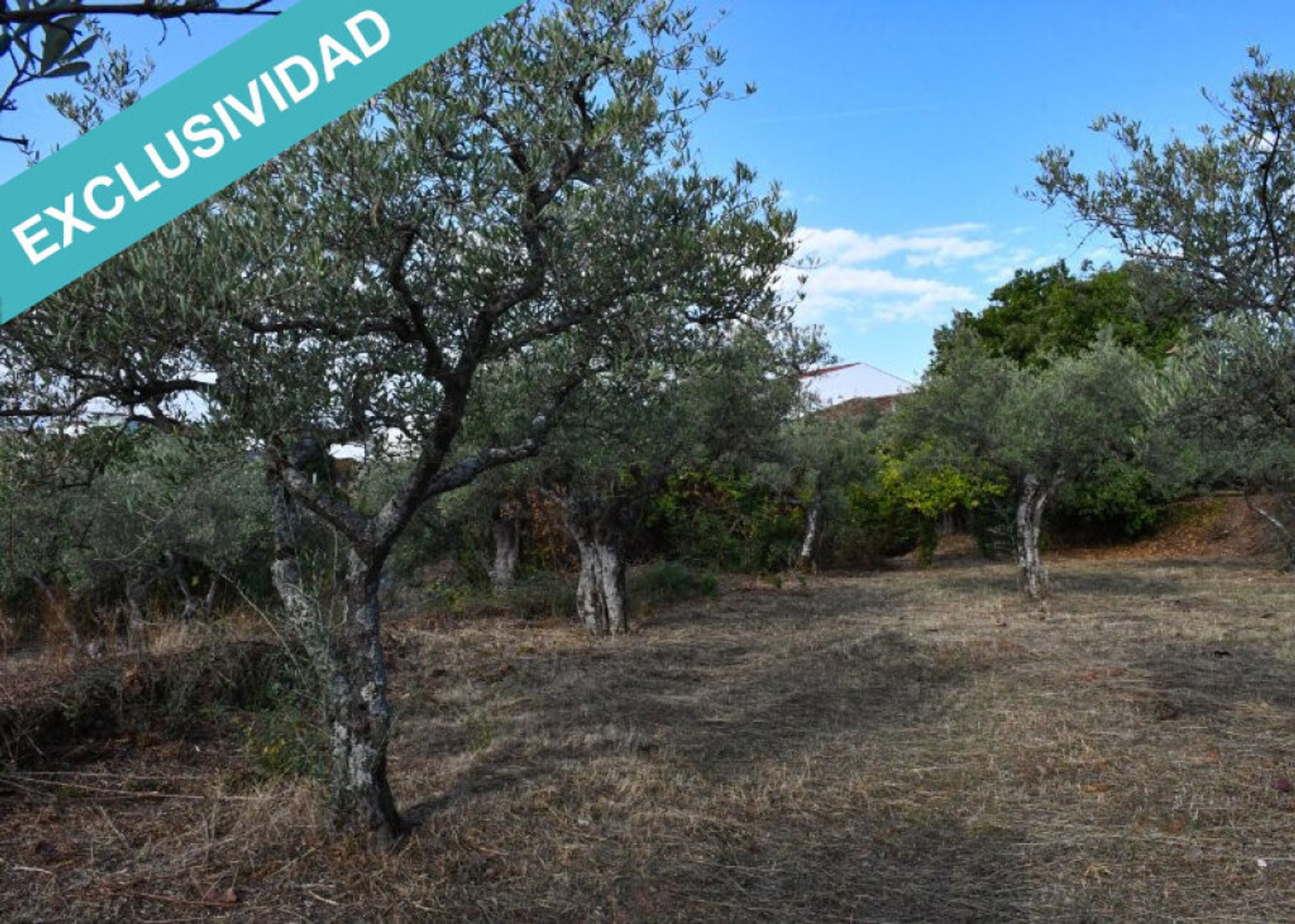 Tanah dalam Perales del Puerto, Extremadura 11514897