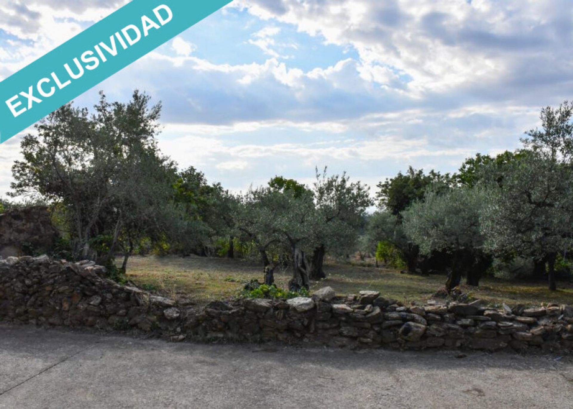 Tanah di Perales del Puerto, Extremadura 11514897