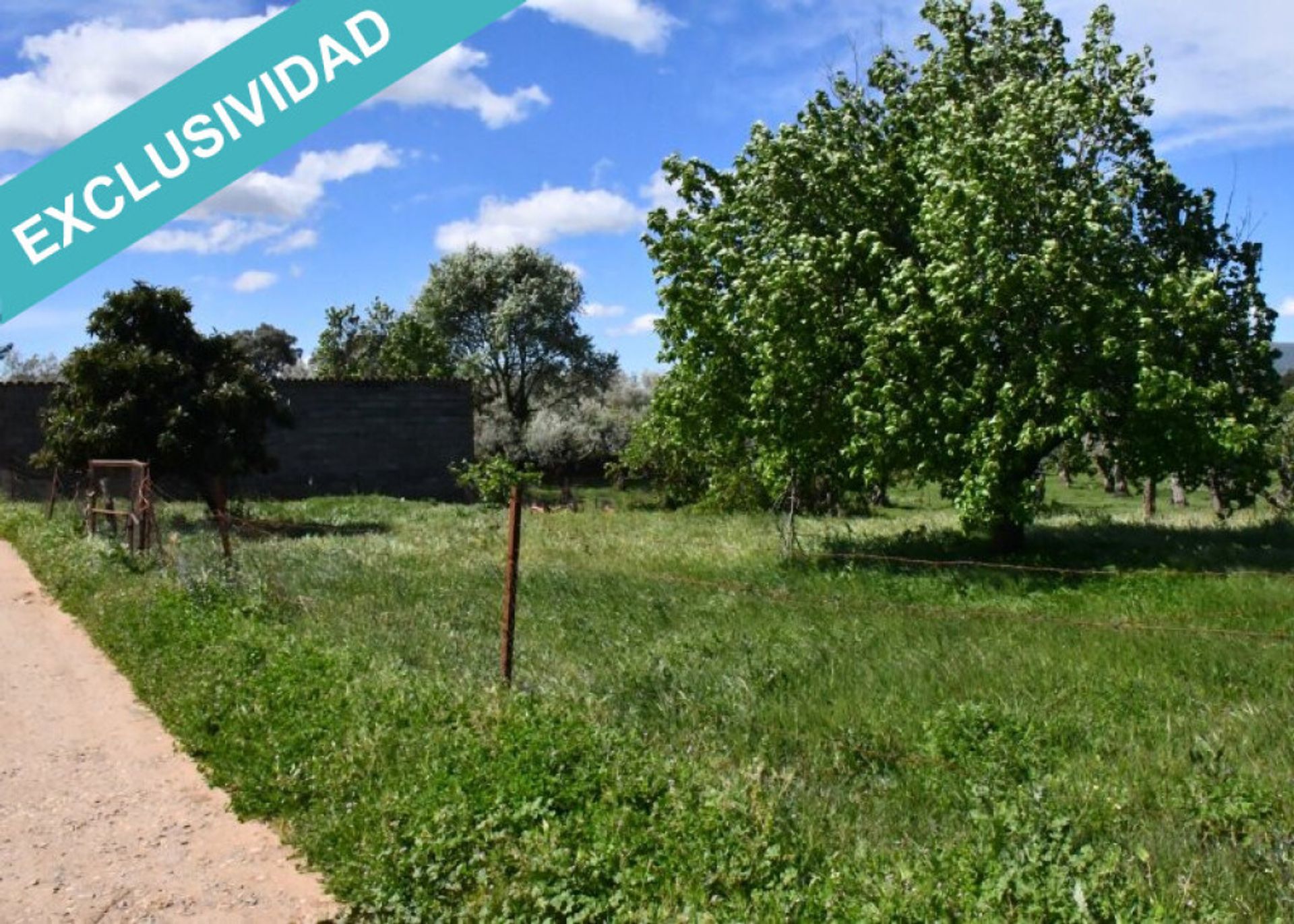 산업 에 Villasbuenas de Gata, Extremadura 11514899