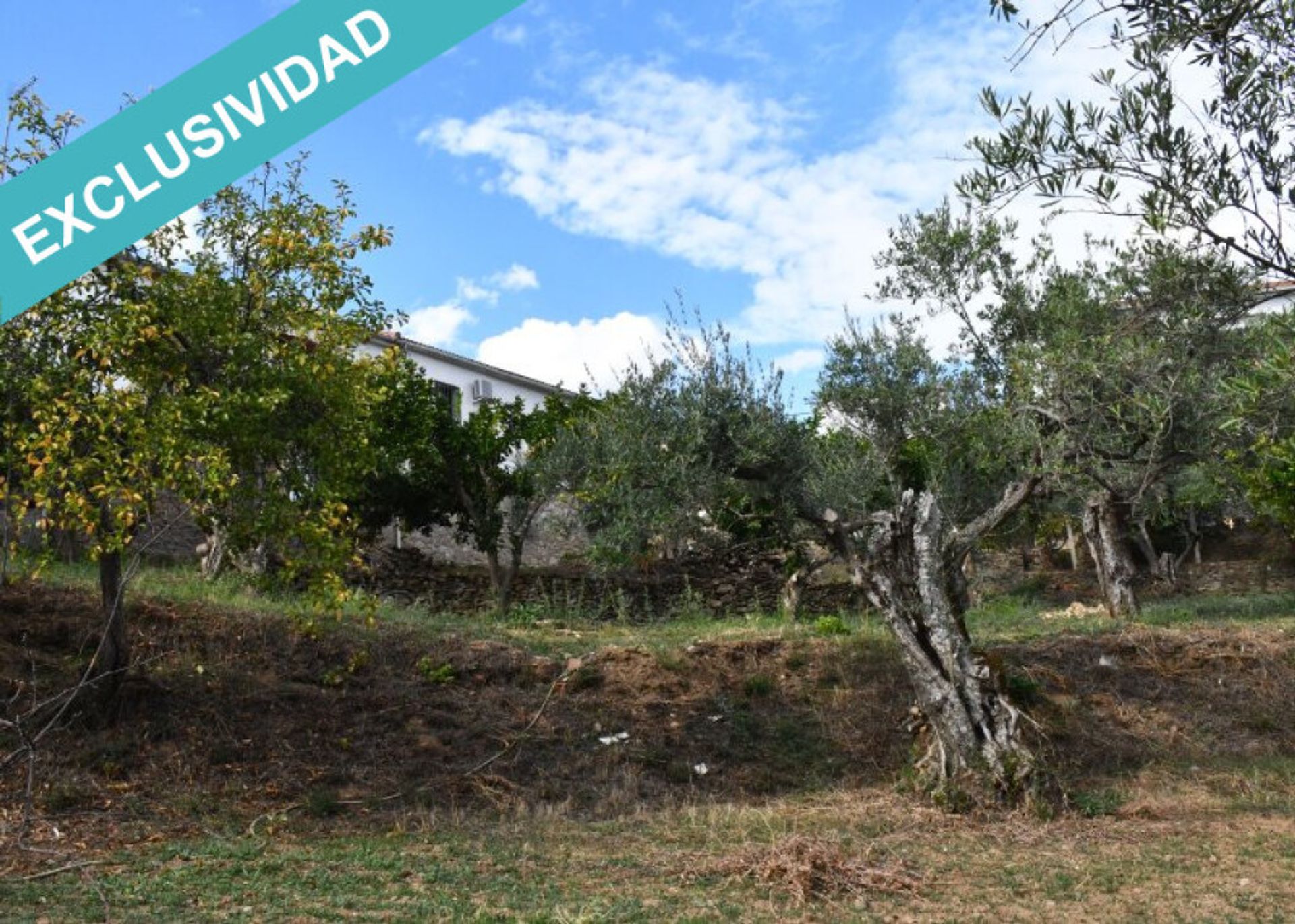 Huis in Perales del Puerto, Extremadura 11514905