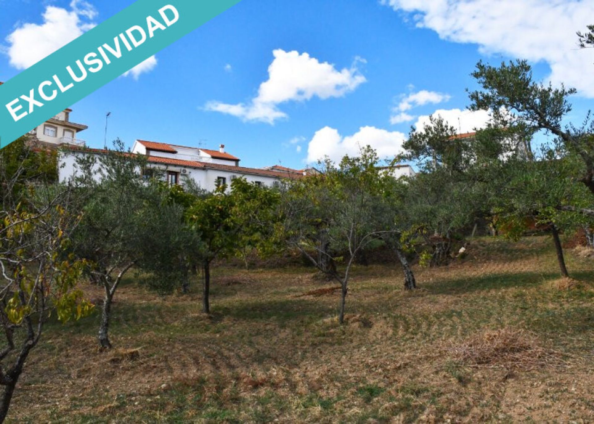 Huis in Perales del Puerto, Extremadura 11514905