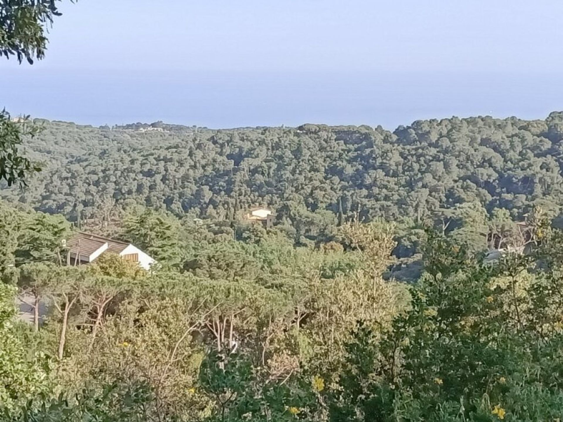 Tanah di Arenys de Munt, Catalunya 11514977