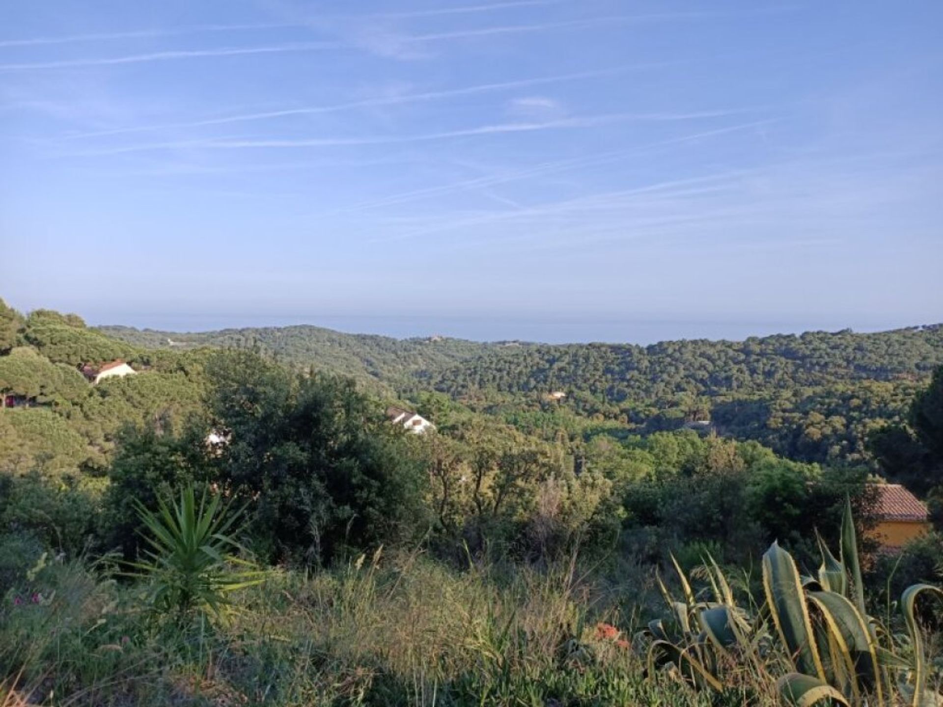 土地 在 Arenys de Munt, Catalunya 11514977