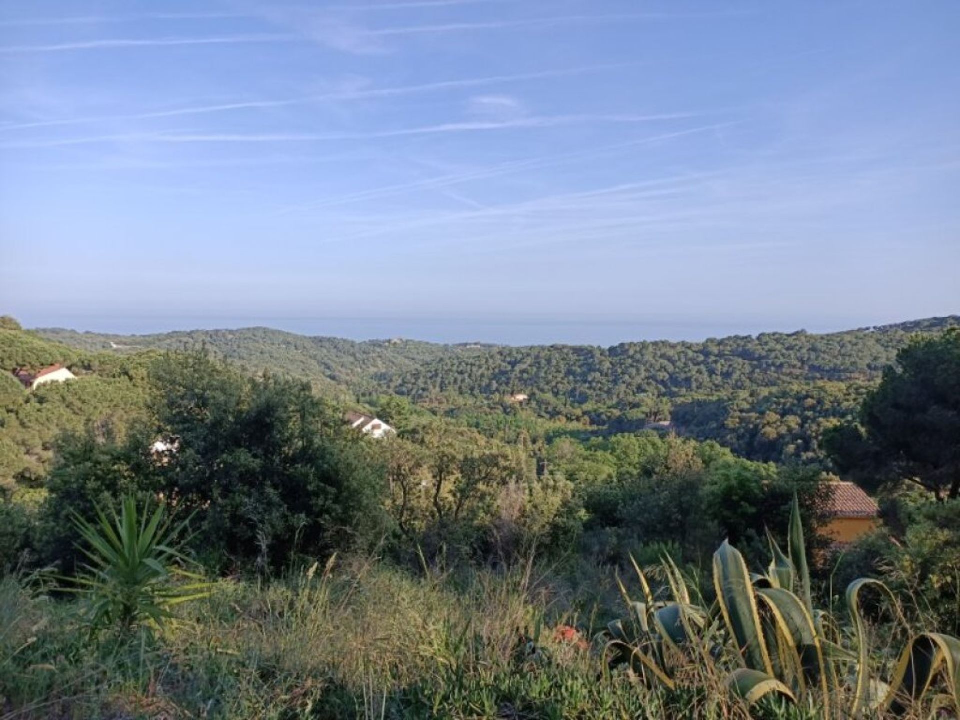 تجاري في Arenys de Munt, Catalunya 11514977