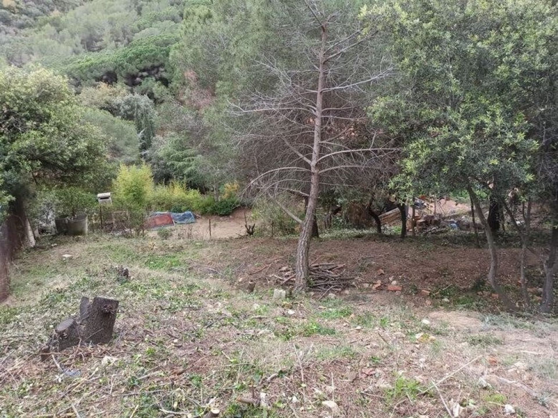 Land in Alella, Catalunya 11514980