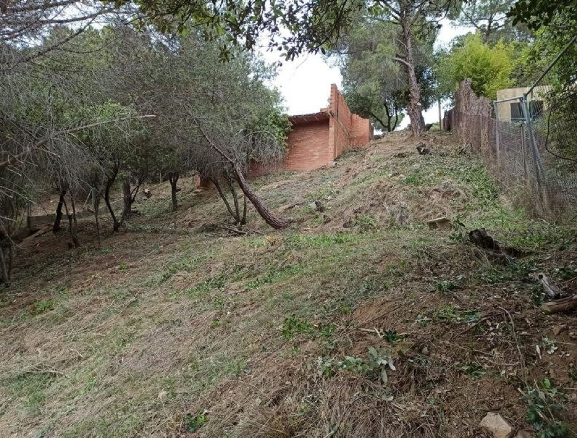 Land in Alella, Catalunya 11514980