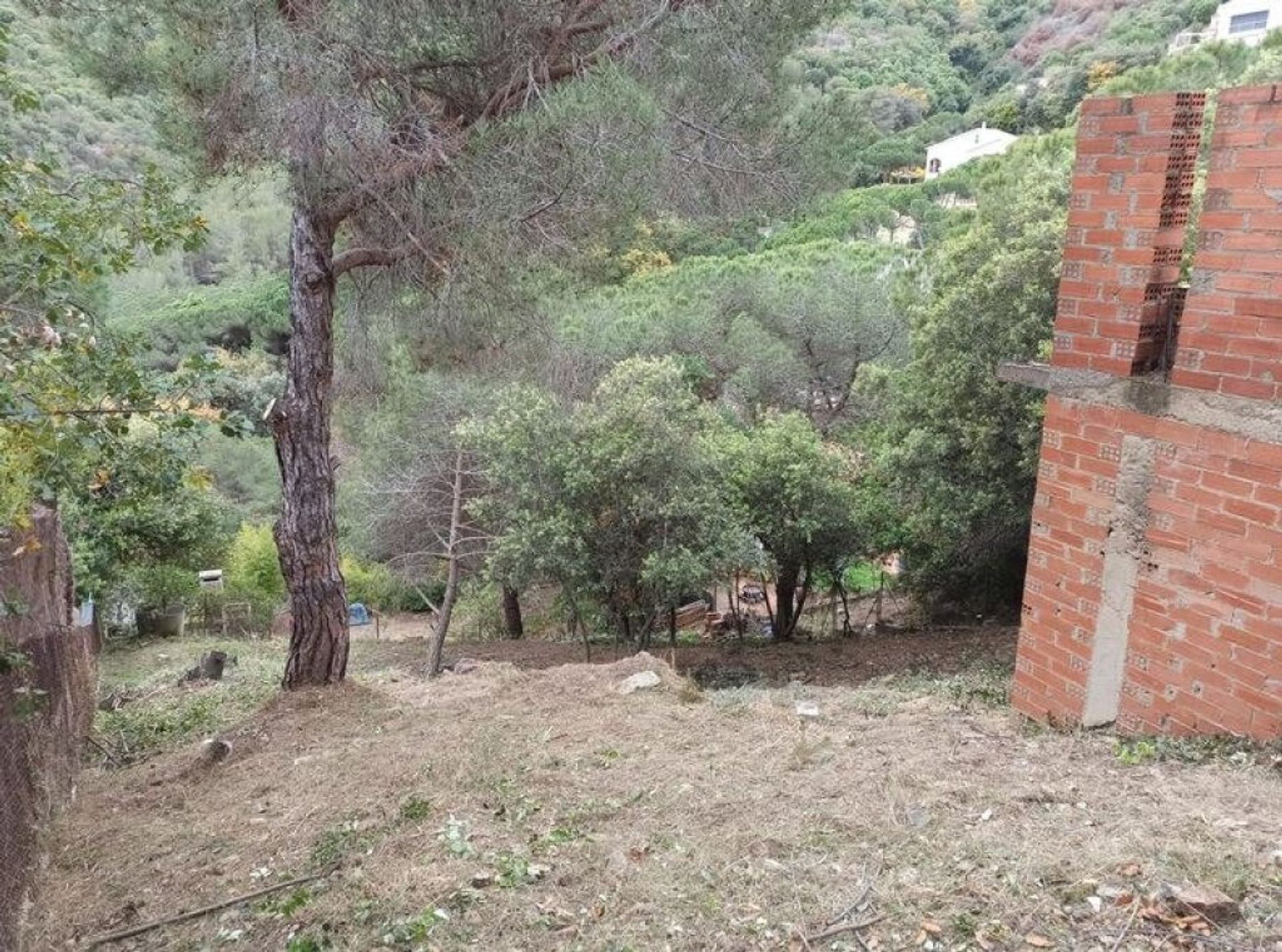 Tierra en Alella, Catalunya 11514980