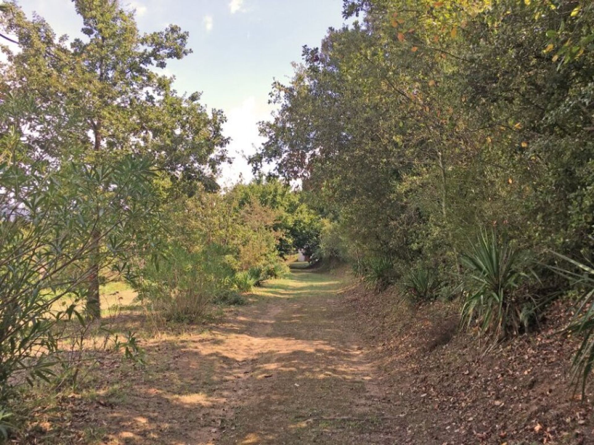 Terra no Vallgorguina, Catalunya 11514983