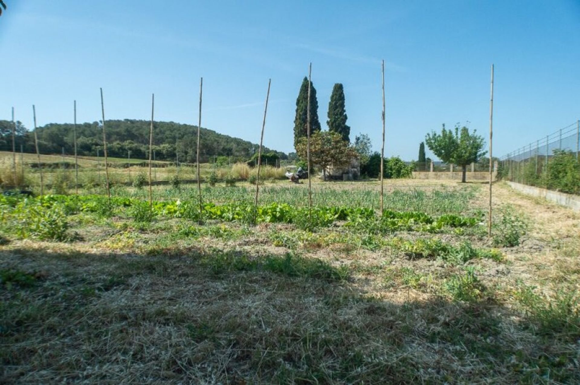 Casa nel Sant Joan, Illes Balears 11515171