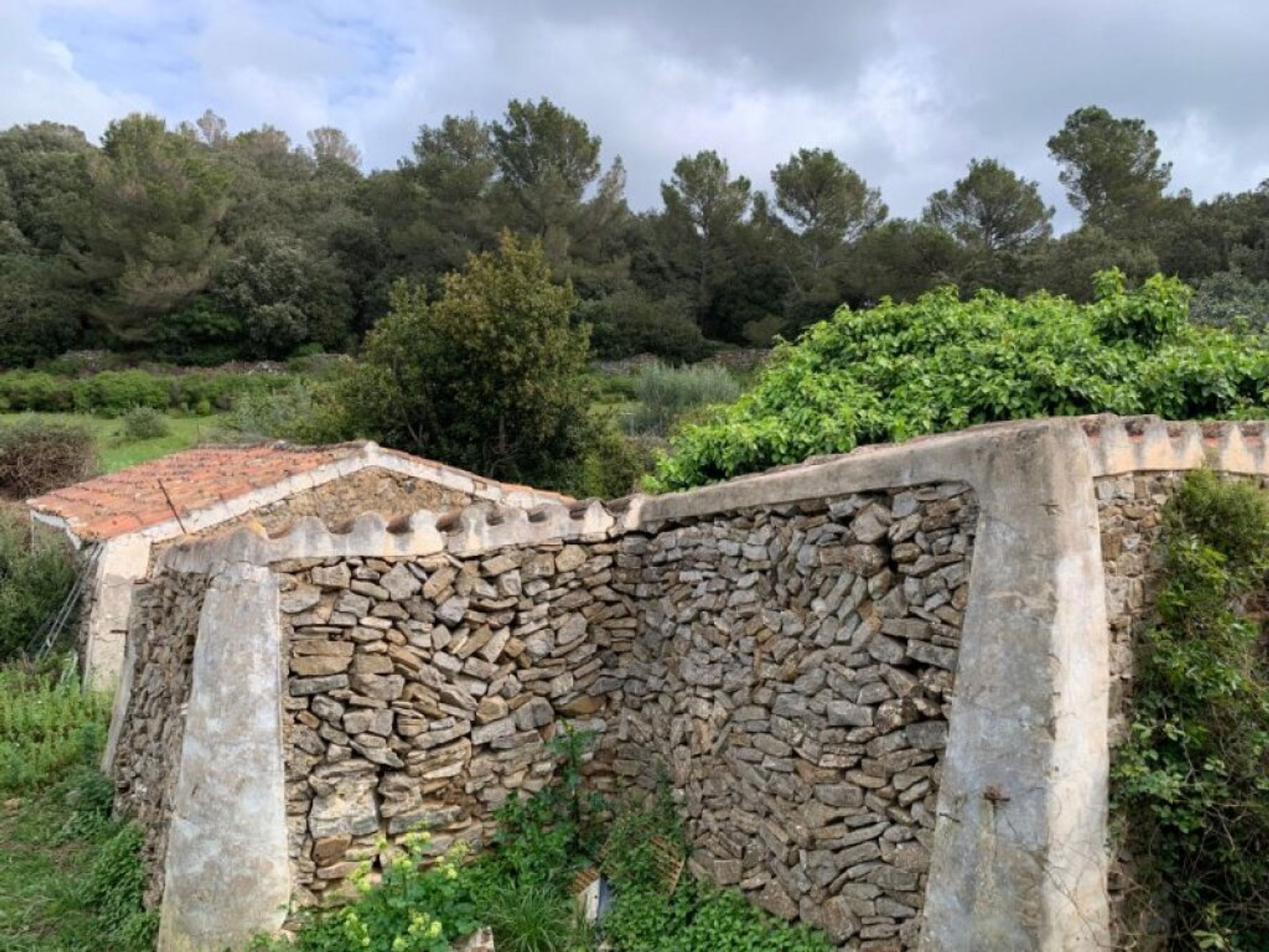 Terre dans , Illes Balears 11515187