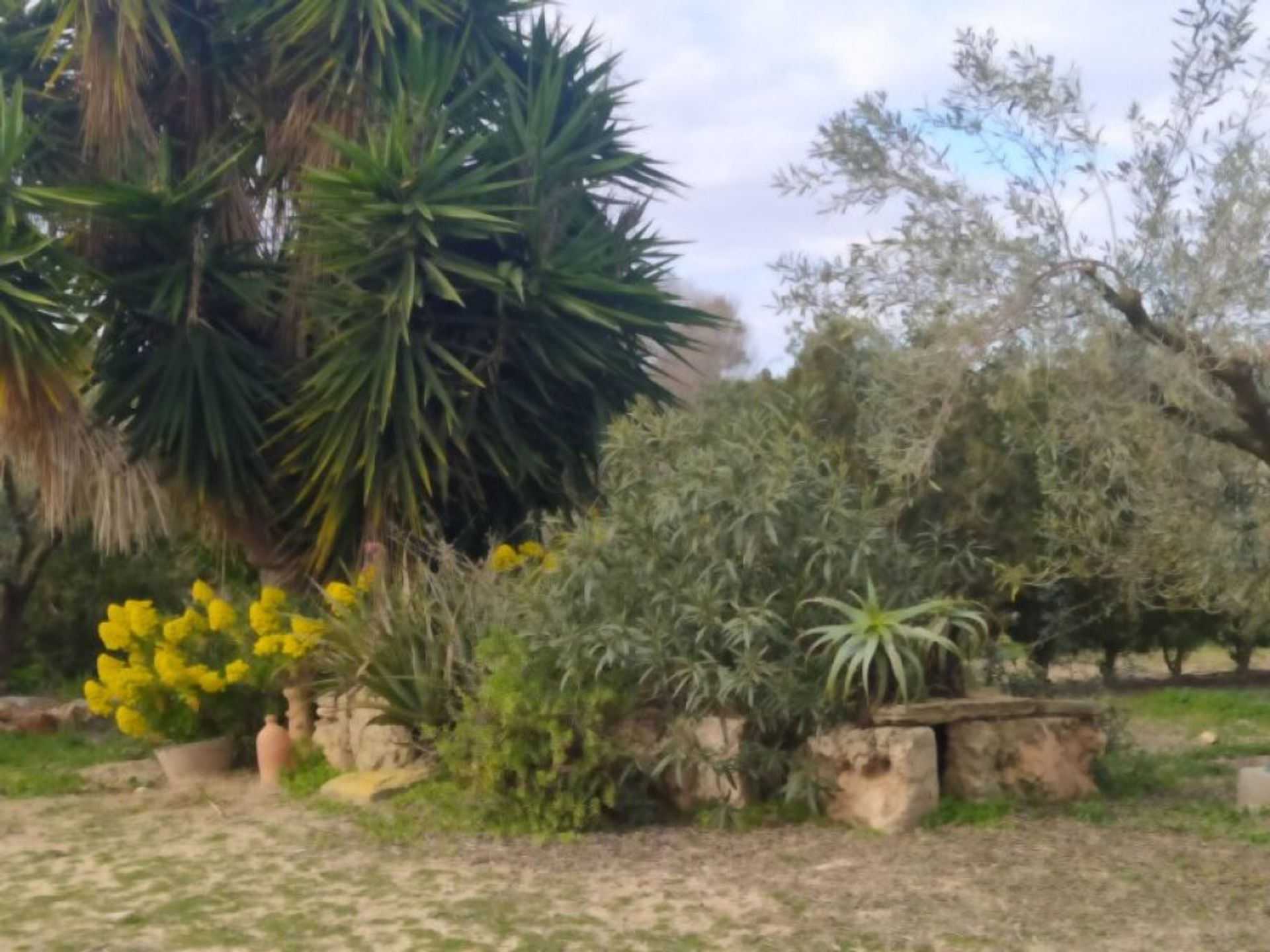 سكني في , Illes Balears 11515213