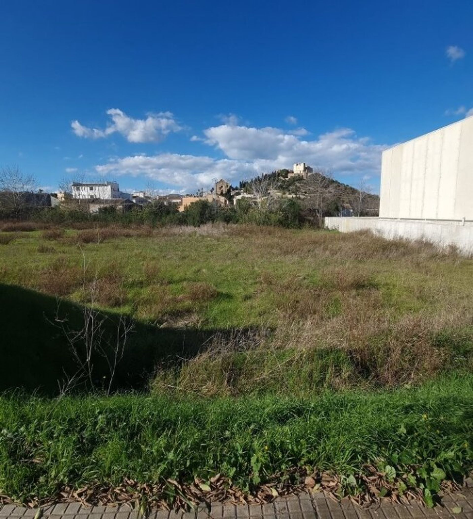 Tierra en Artá, Islas Baleares 11515232