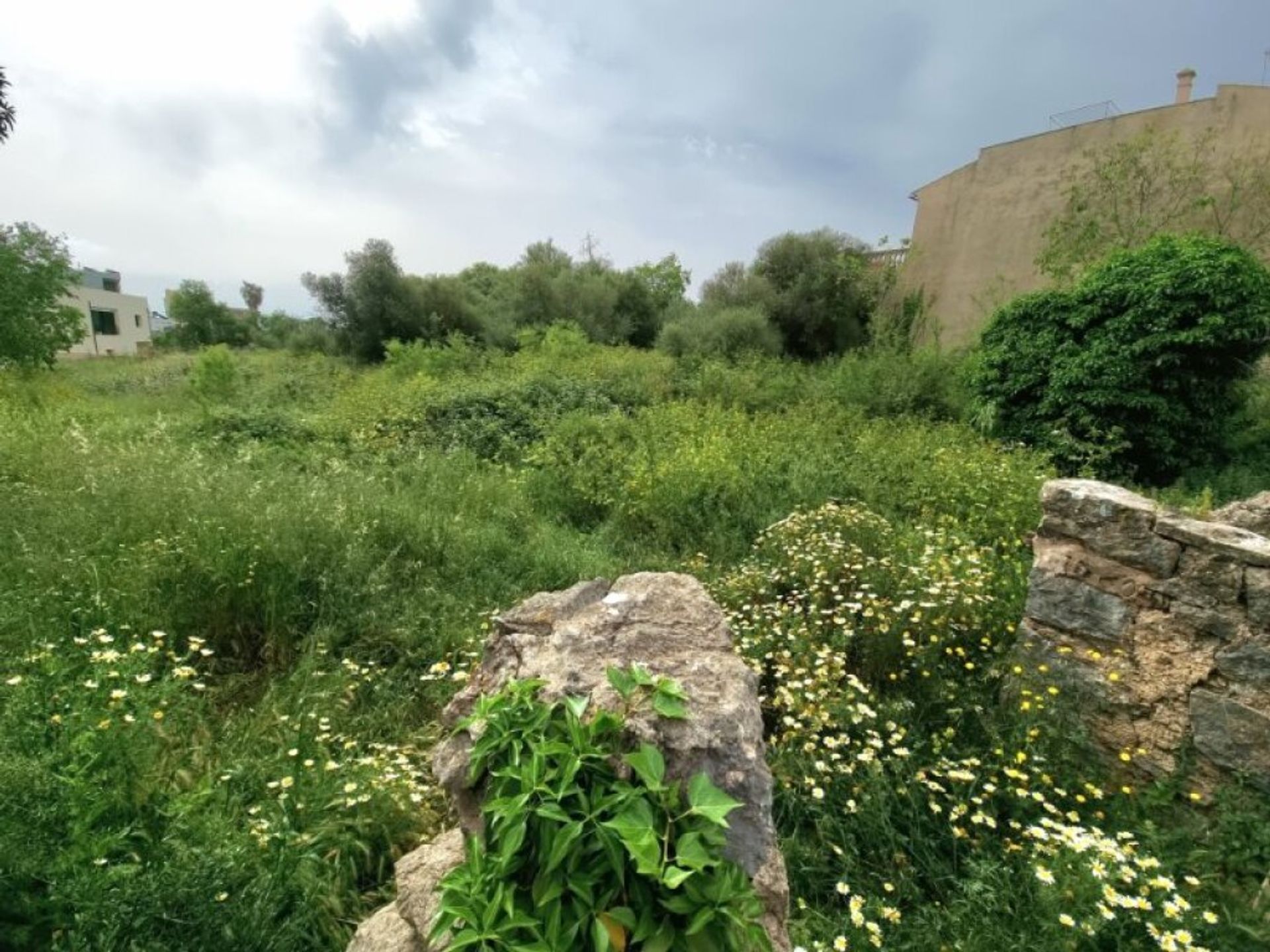 Tierra en Artá, Islas Baleares 11515235