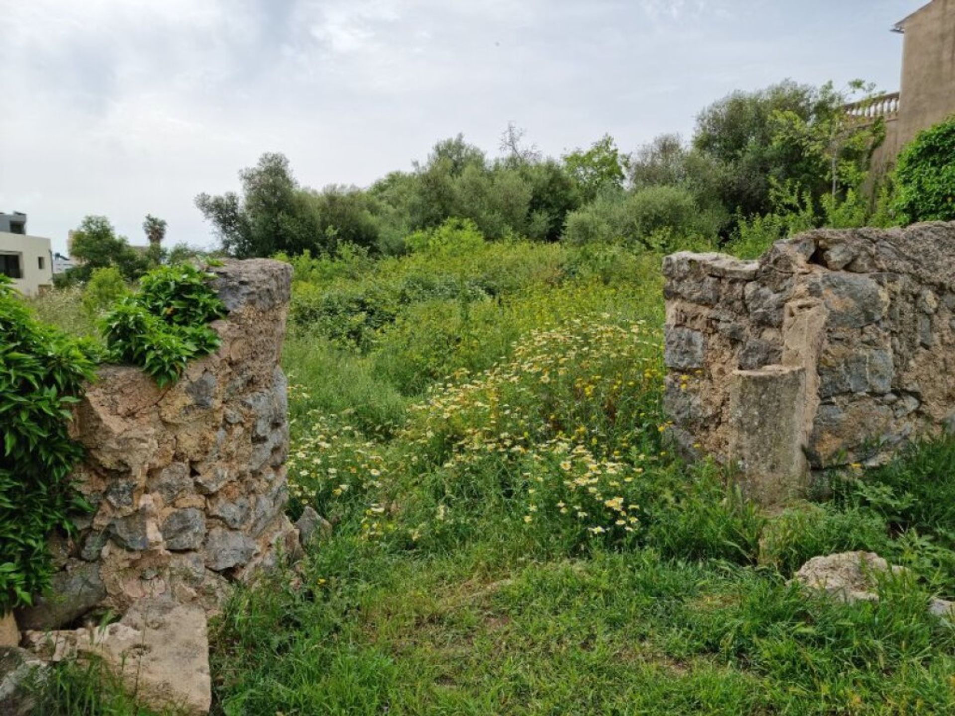 Tierra en Artá, Islas Baleares 11515235