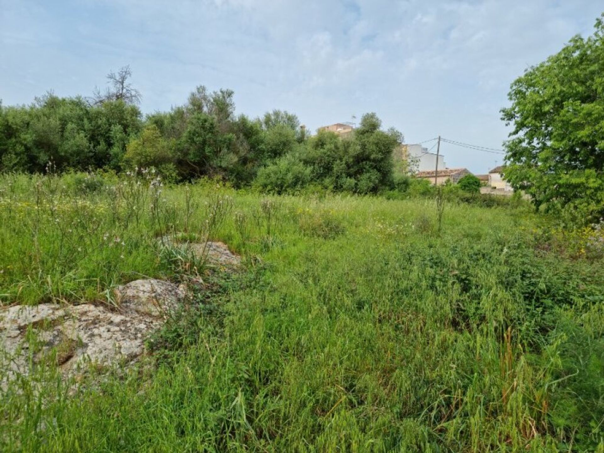 Tierra en Artá, Islas Baleares 11515235