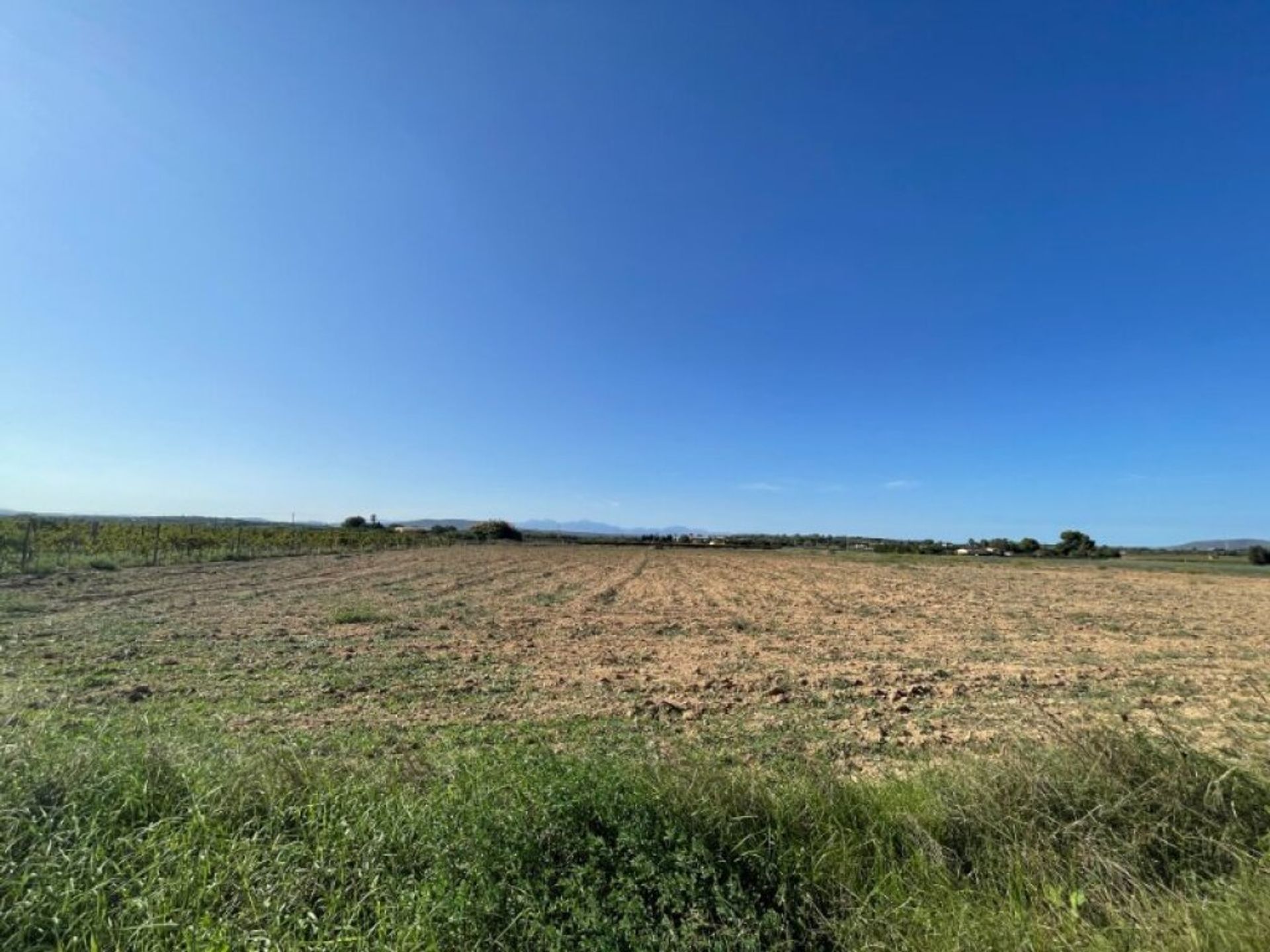 Land in Manacor, De Balearen 11515236