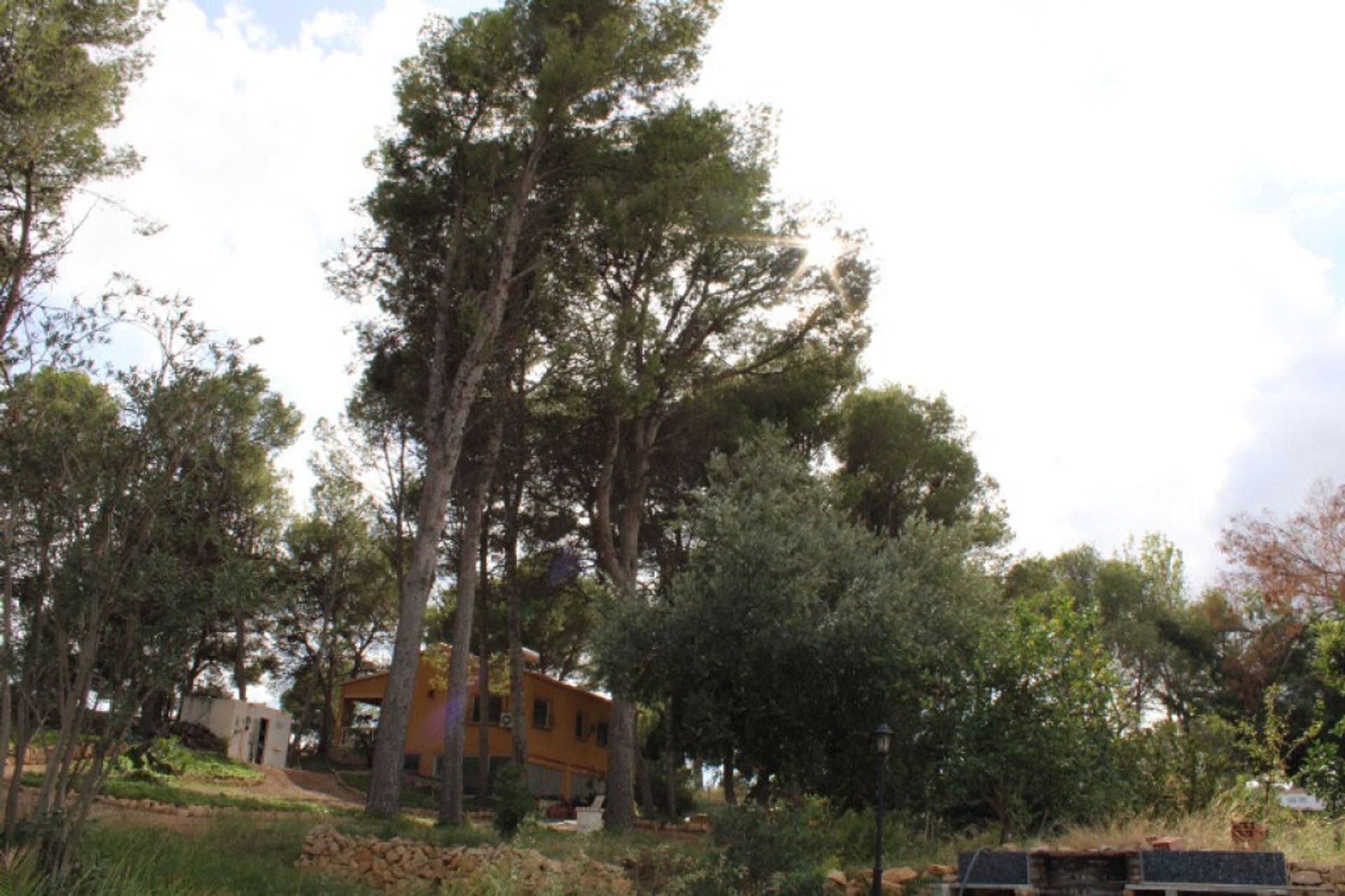 House in l'Alfàs del Pi, Comunidad Valenciana 11515345