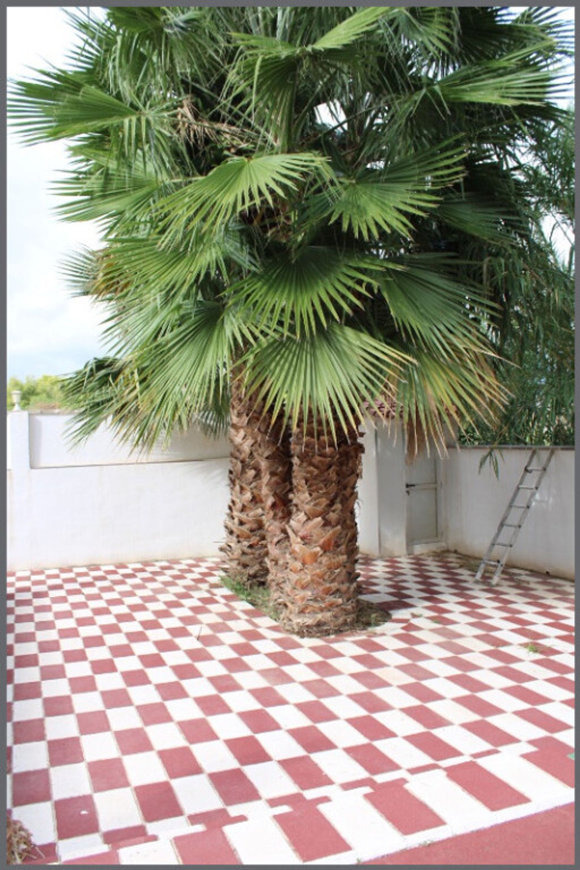 House in l'Alfàs del Pi, Comunidad Valenciana 11515345