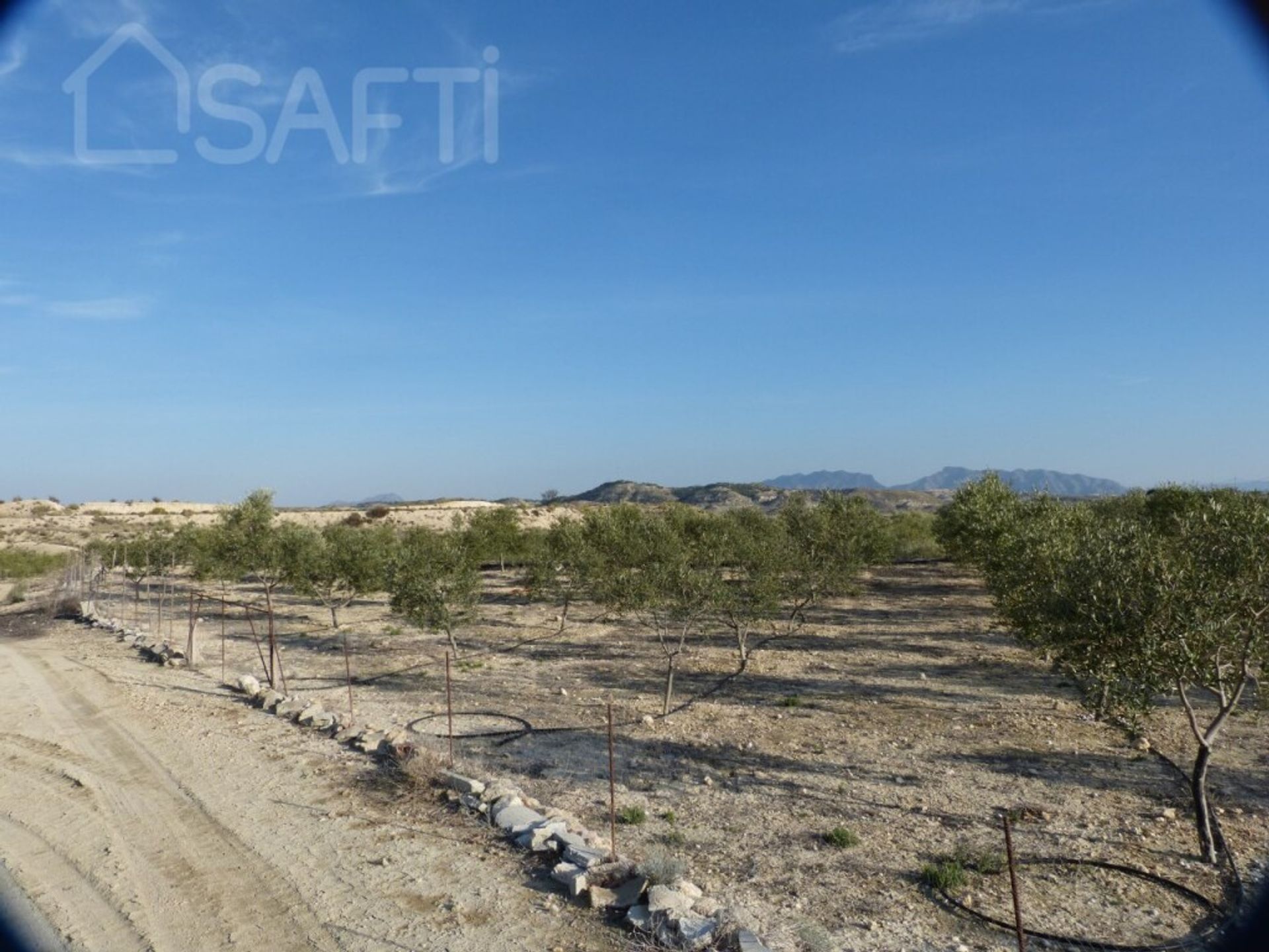 Tierra en , Región de Murcia 11515366