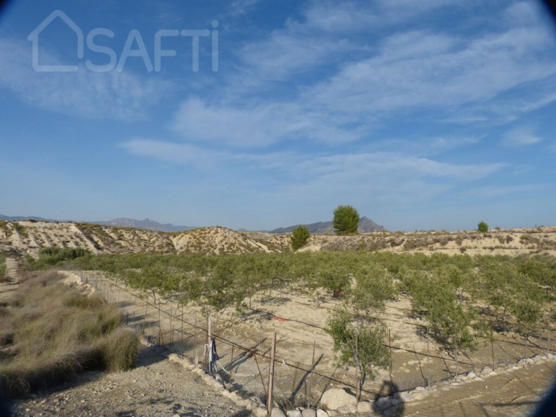 Tierra en , Región de Murcia 11515366