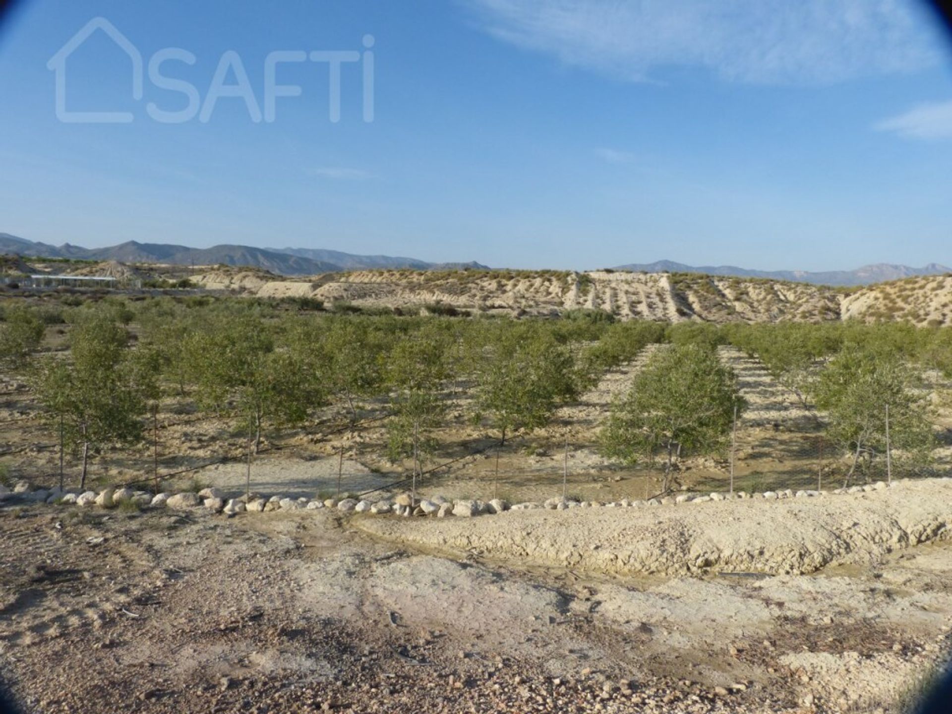 Tanah di , Región de Murcia 11515366