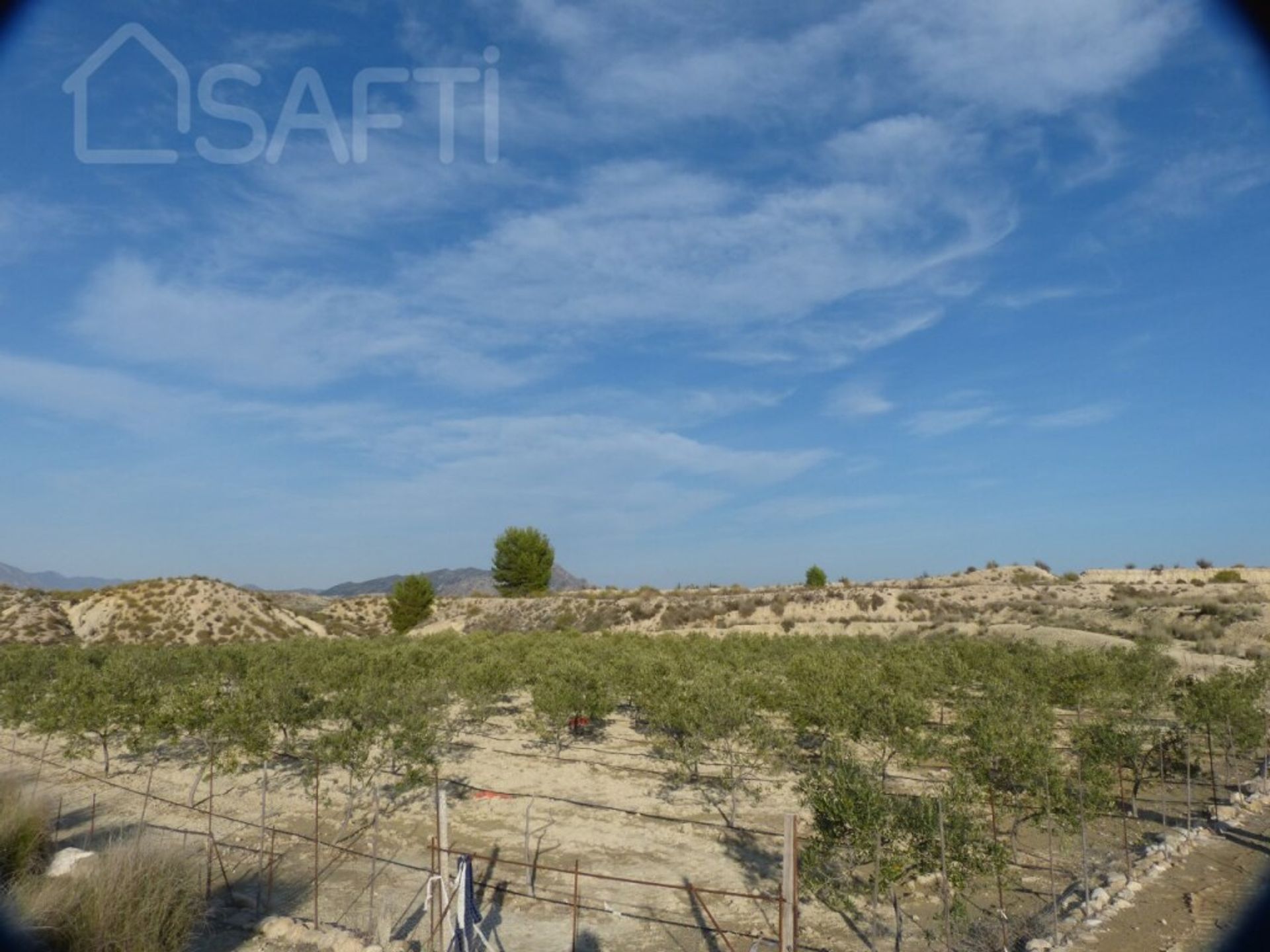 Tierra en , Región de Murcia 11515366