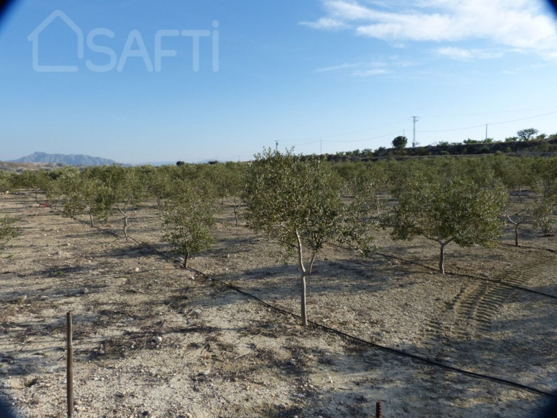 Land i , Región de Murcia 11515366