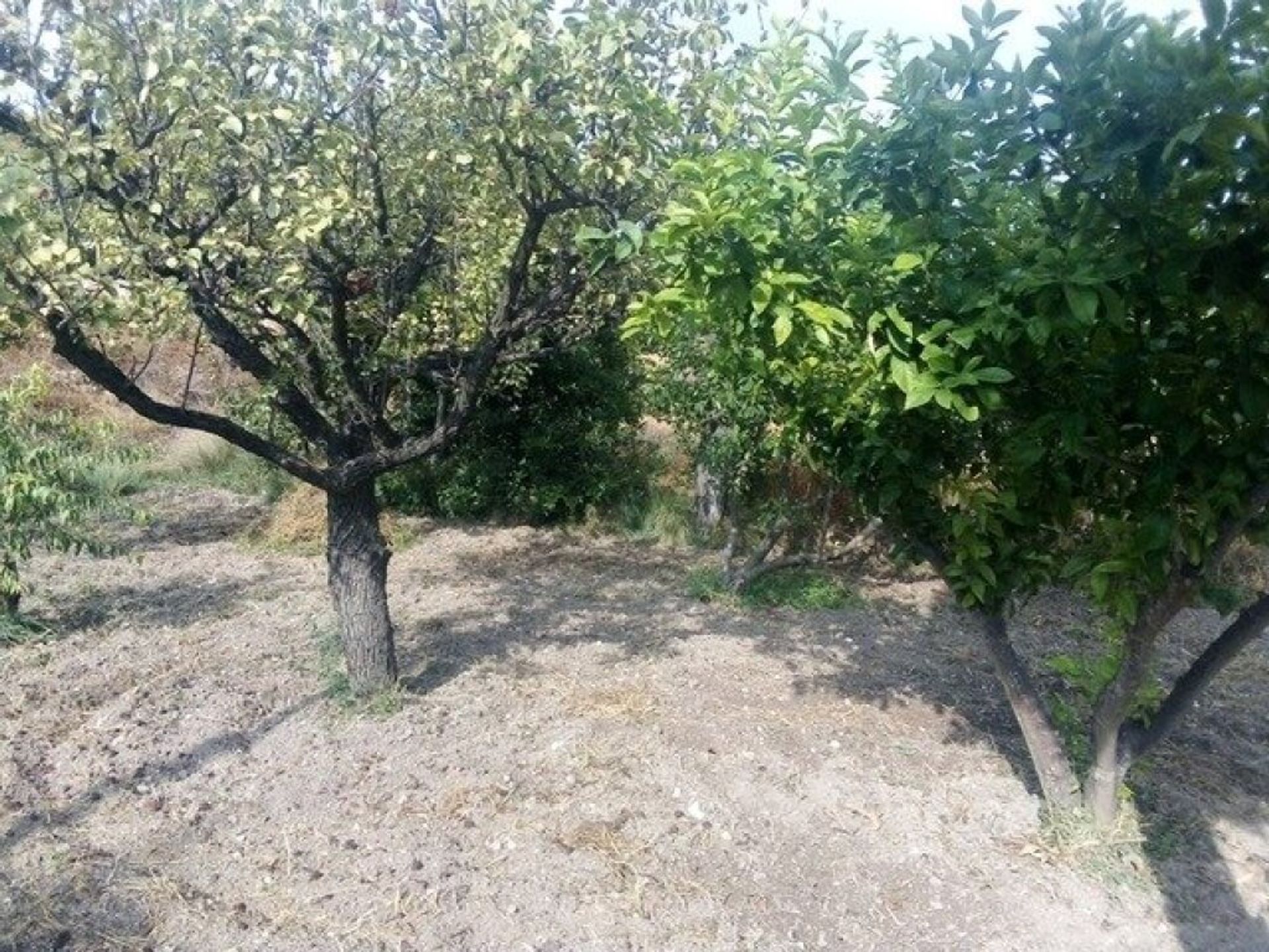 Hus i La Garapacha, Región de Murcia 11515380