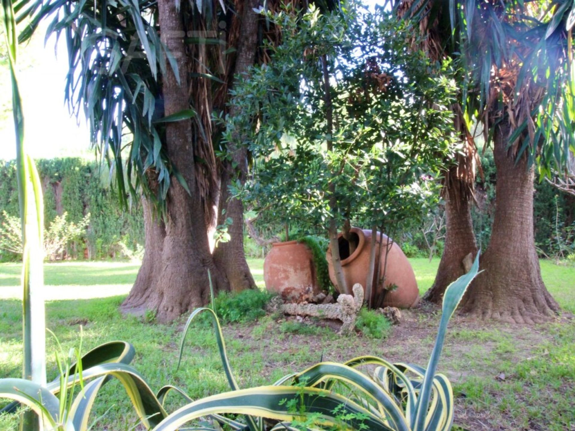 Talo sisään Cullera, Andalusia 11515476