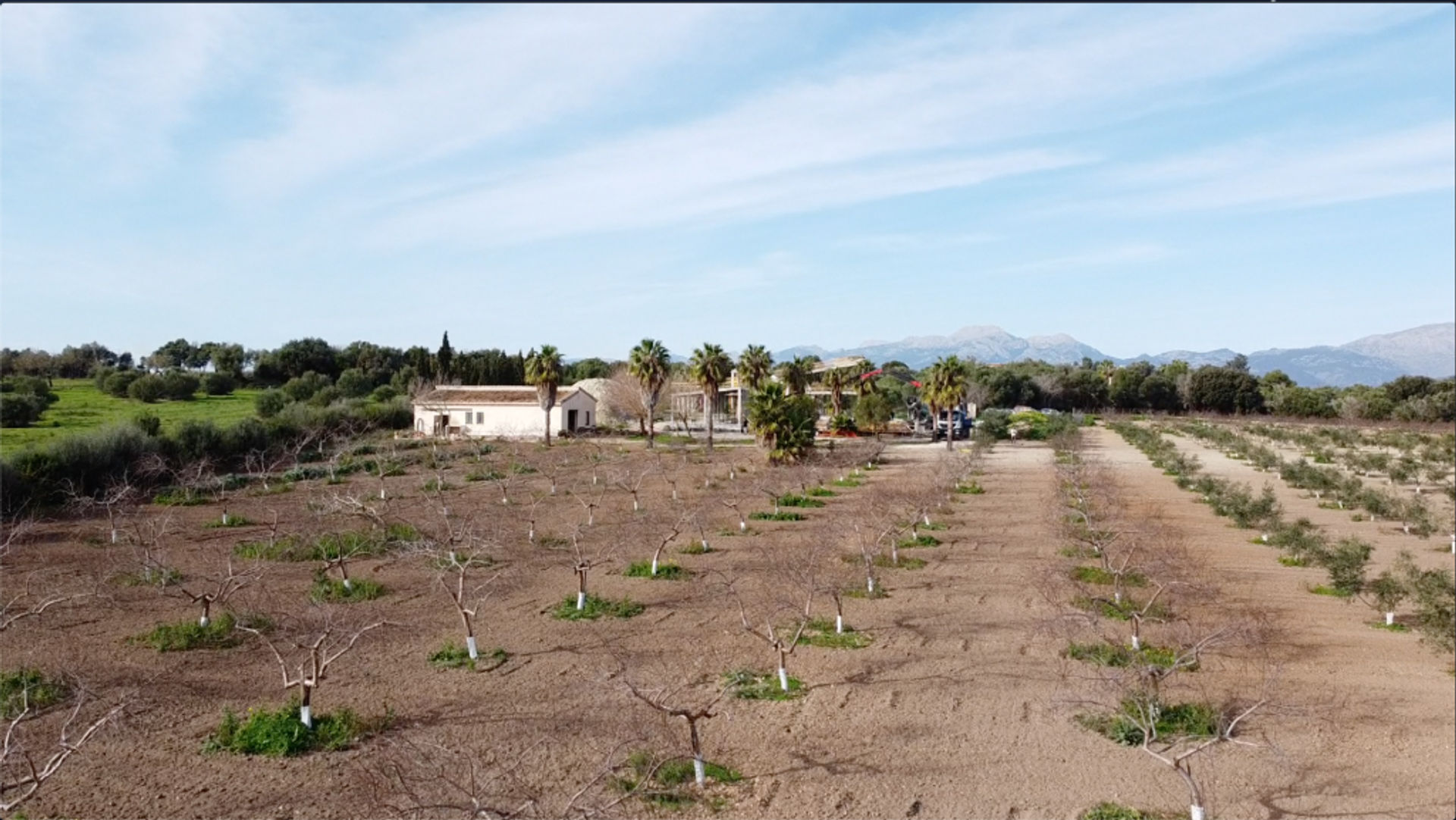 σπίτι σε Muro, Illes Balears 11515570