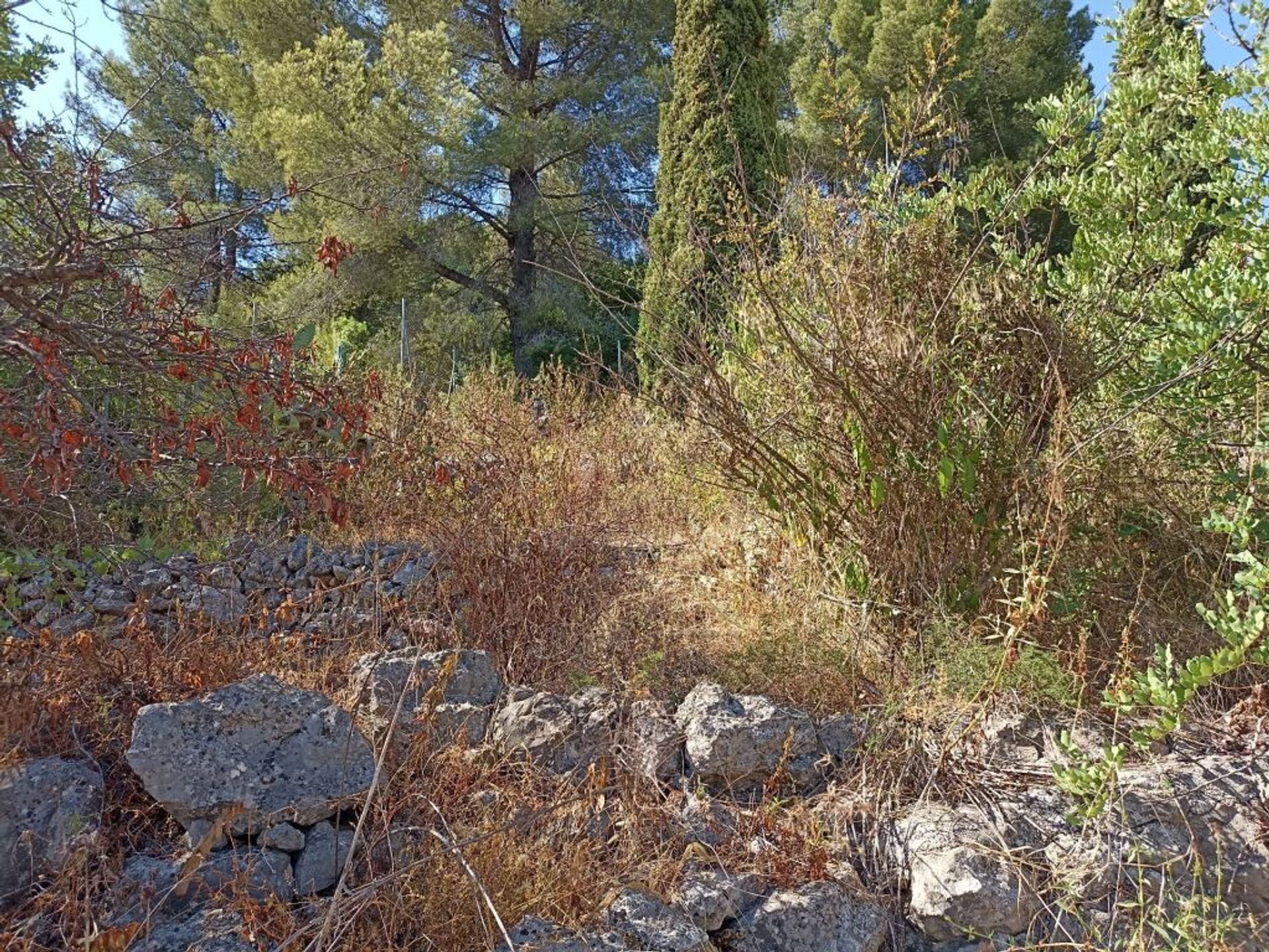 casa no Rincón del Silencio, Comunidad Valenciana 11515845