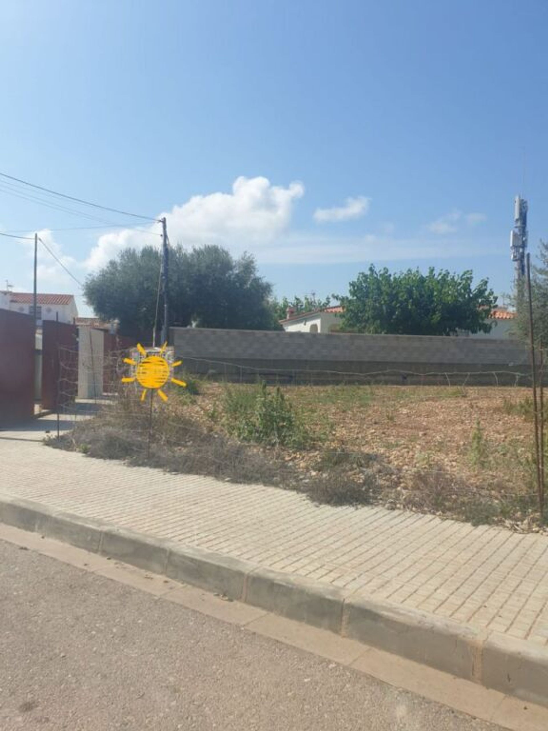 Land im Vinaroz, Valencia 11515972