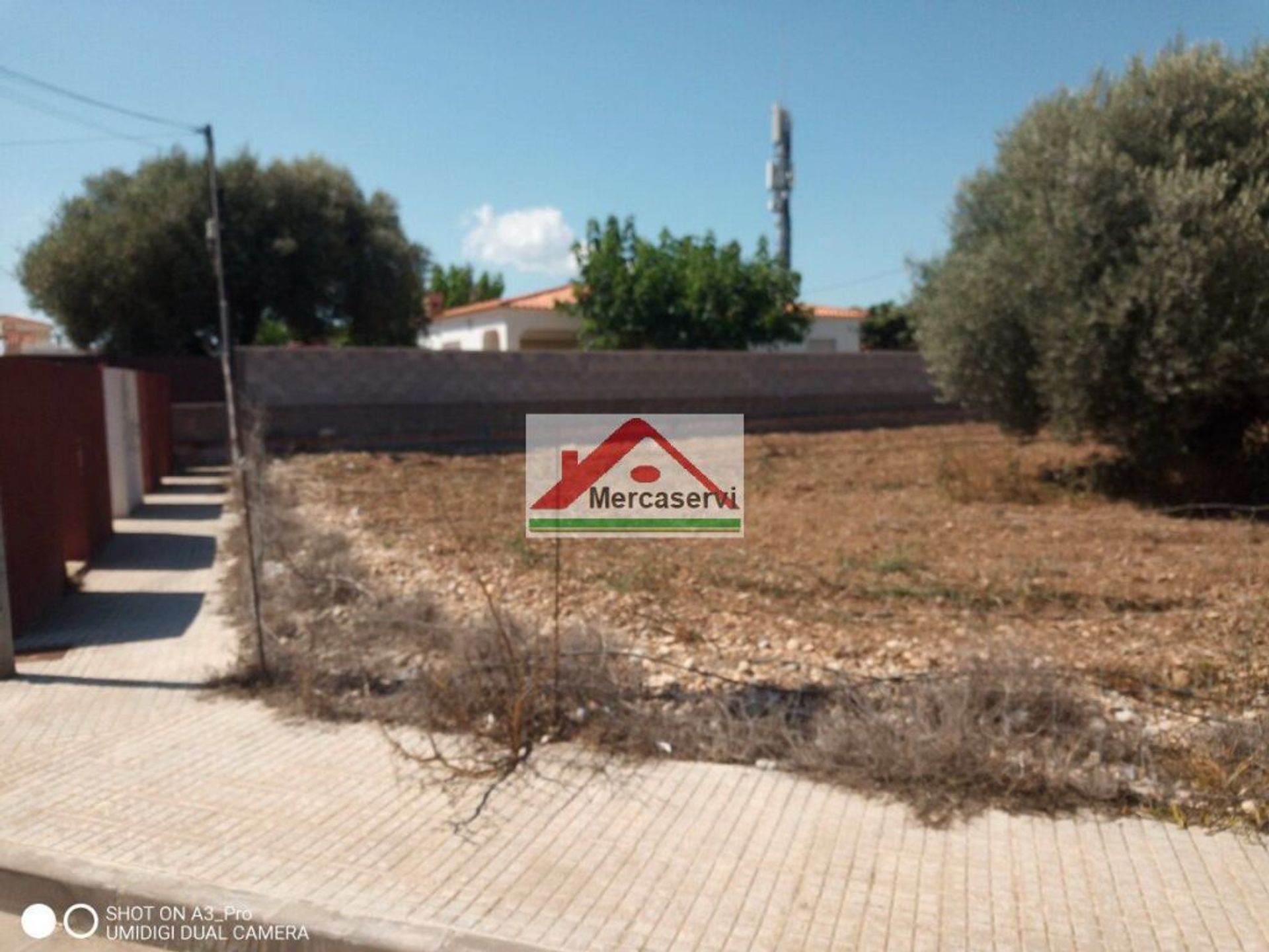 Land i Vinaroz, Valencia 11515972