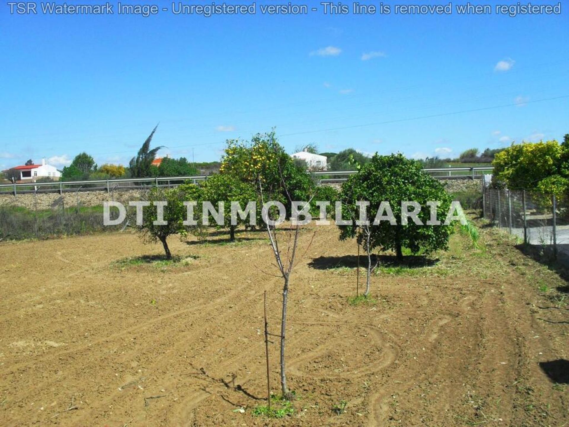 rumah dalam Rociana del Condado, Andalucía 11516025