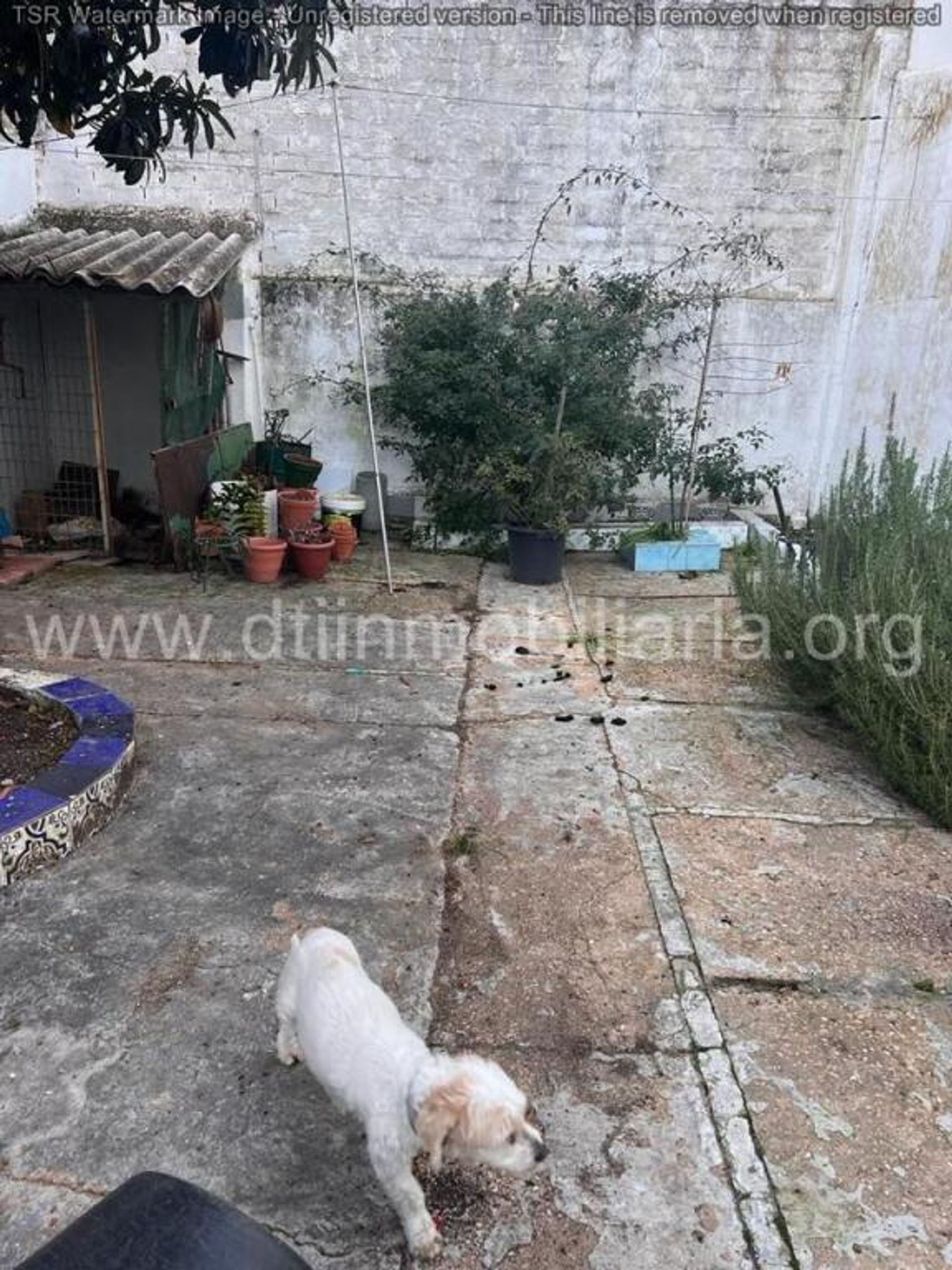 rumah dalam La Palma del Condado, Andalucía 11516091