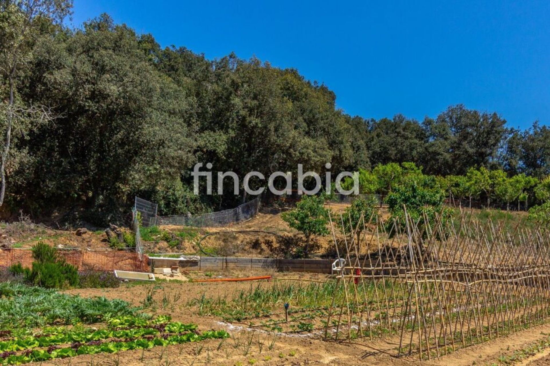 Casa nel Sant Gregori, Catalonia 11516248