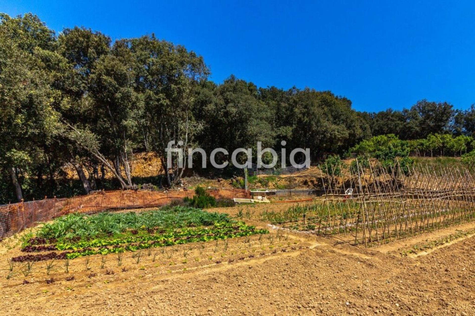 Casa nel Sant Gregori, Catalonia 11516248