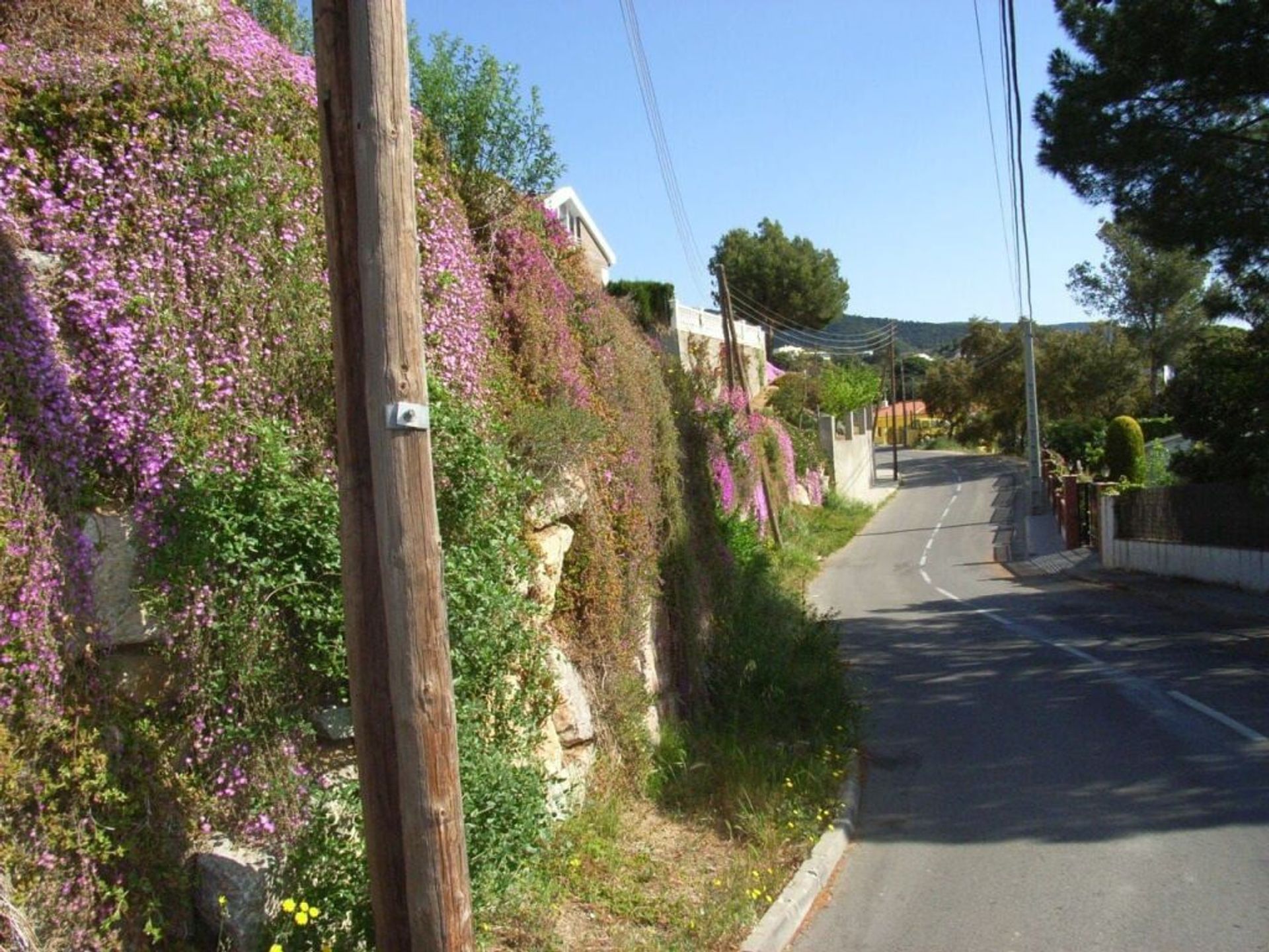 Земля в San Pol de Mar, Catalonia 11516271