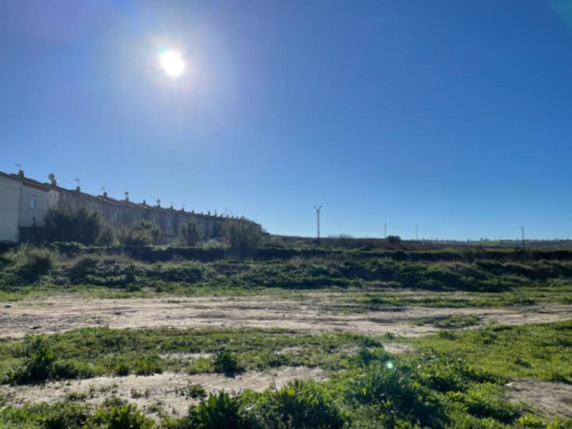 Terre dans La Palma du Condado, Andalousie 11516476