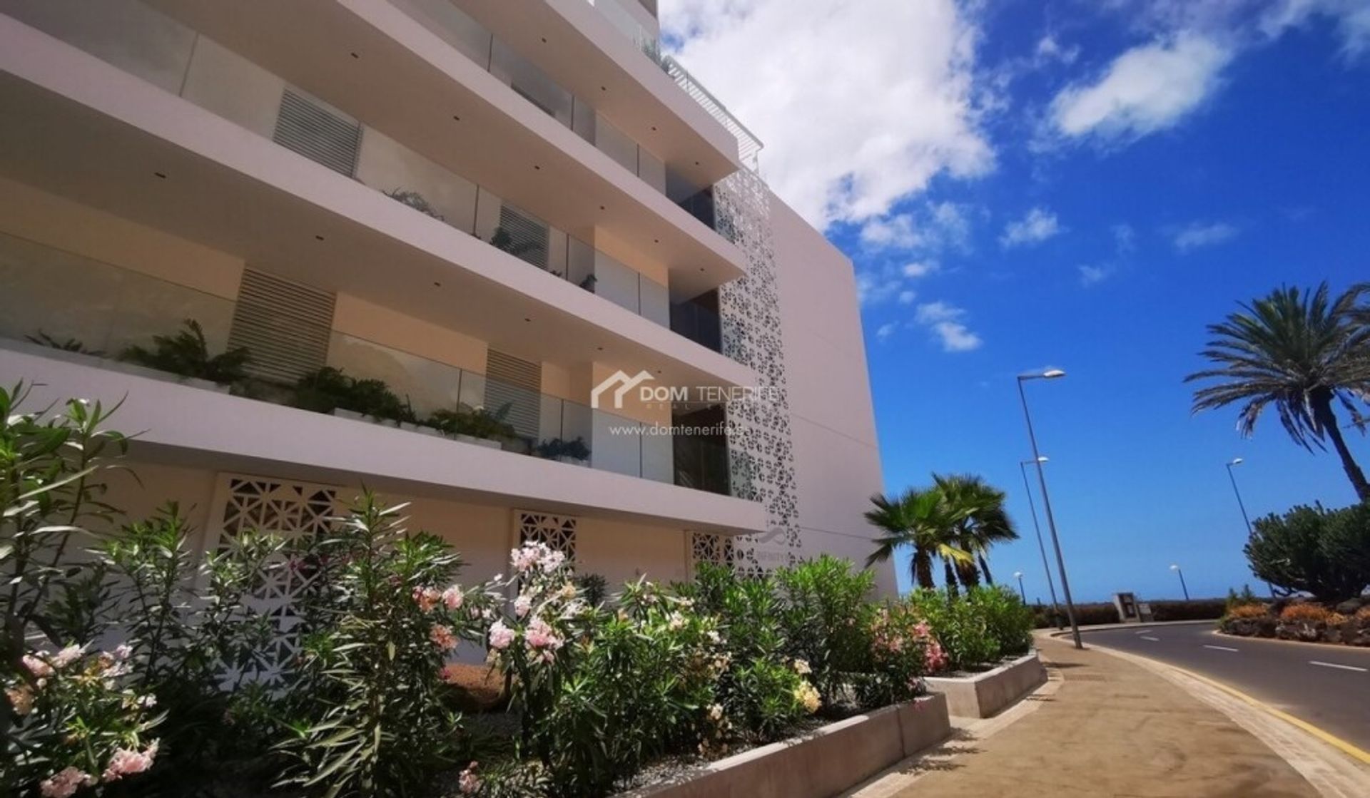 सम्मिलित में Palm-Mar, Canarias 11516587