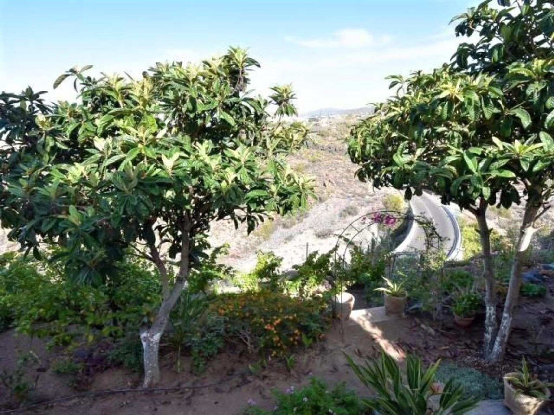 Casa nel Guía de Isora, Canarias 11516596