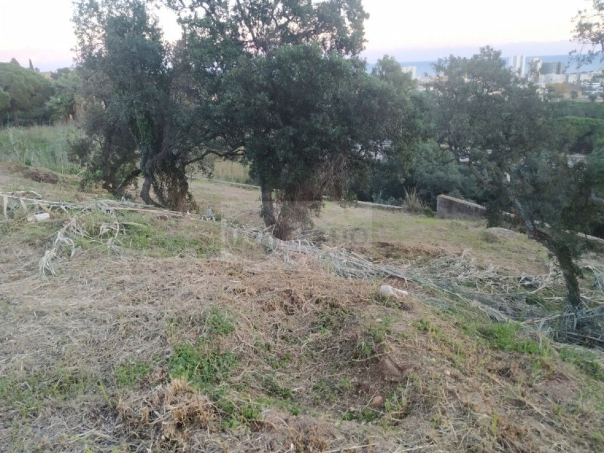 Land im Platja d'Aro, Catalunya 11516754