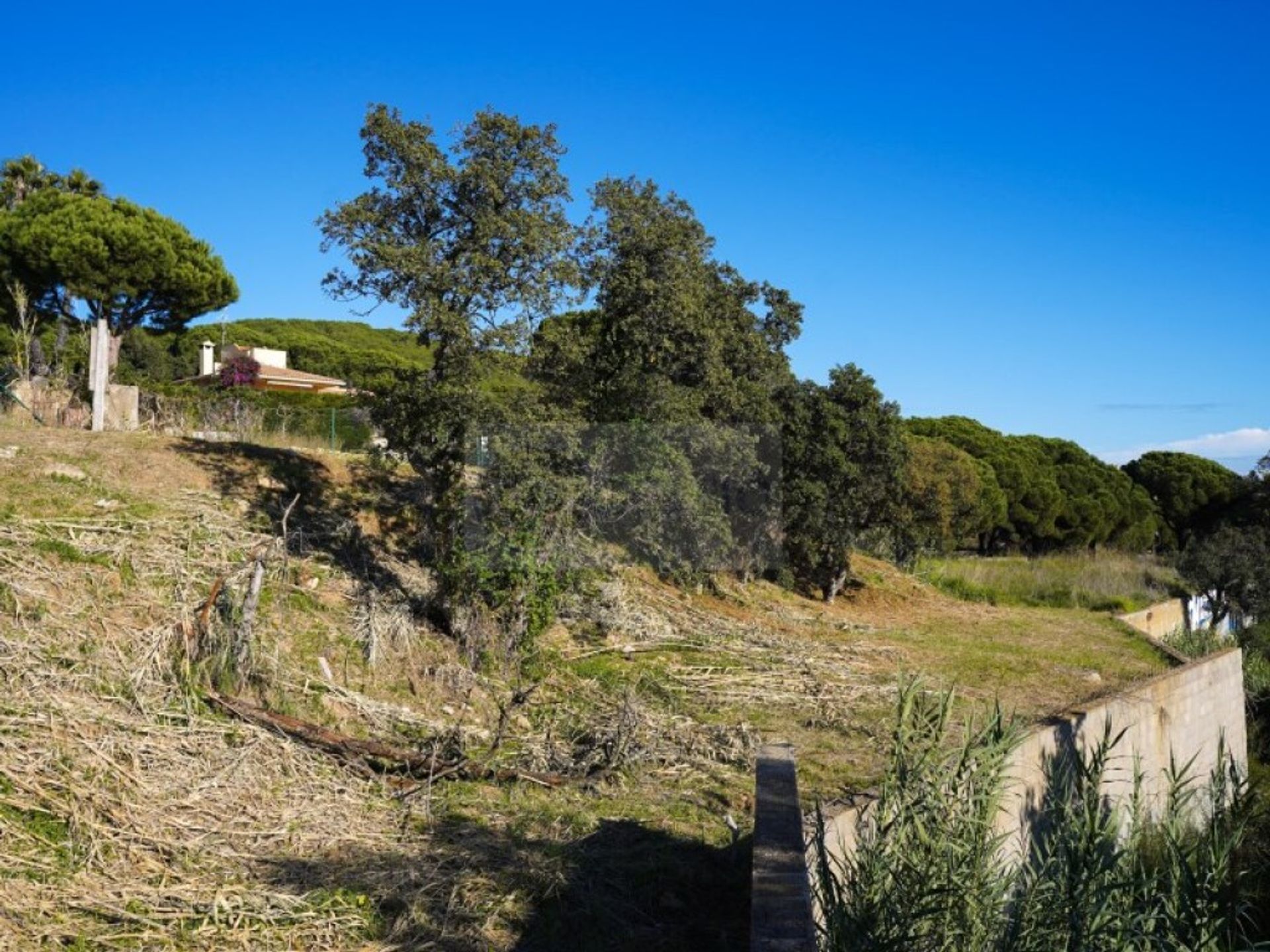 Maa sisään Platja d'Aro, Catalunya 11516756