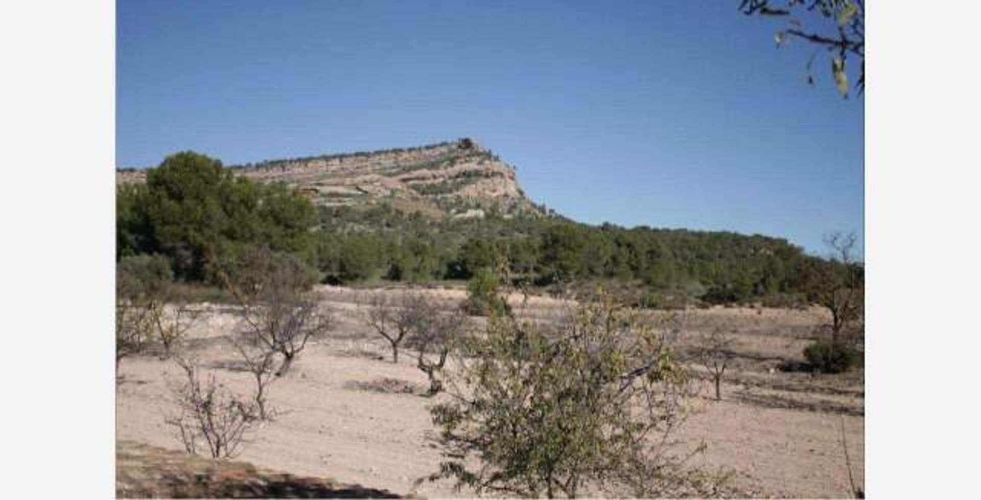 Talo sisään Yecla, Región de Murcia 11516815