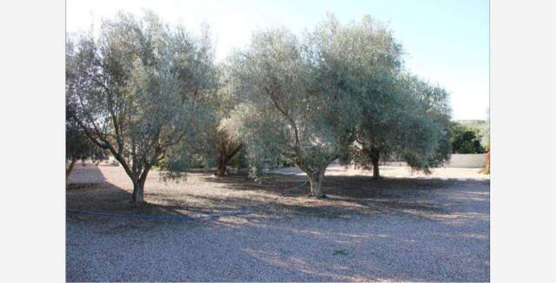 casa en La Gineta, Región de Murcia 11516817