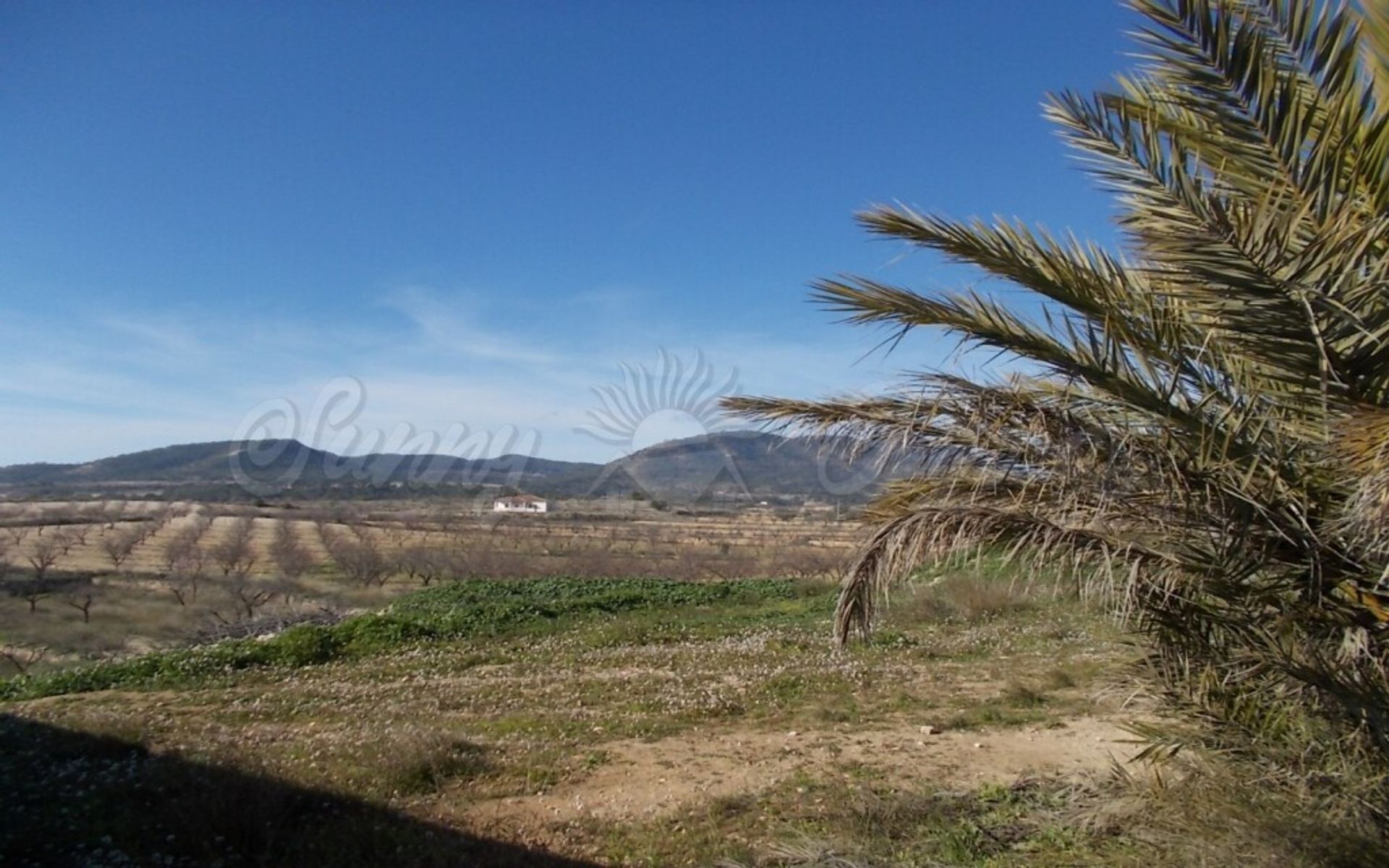 σπίτι σε Yecla, Región de Murcia 11516856