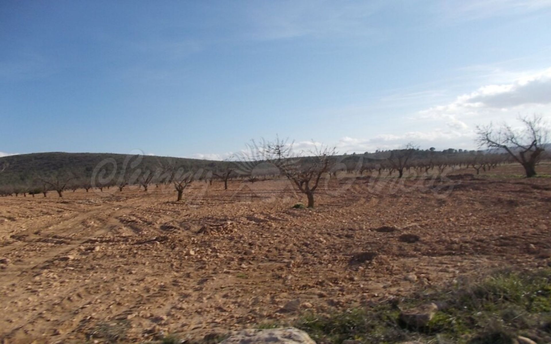 loger dans Raspay, Región de Murcia 11516857